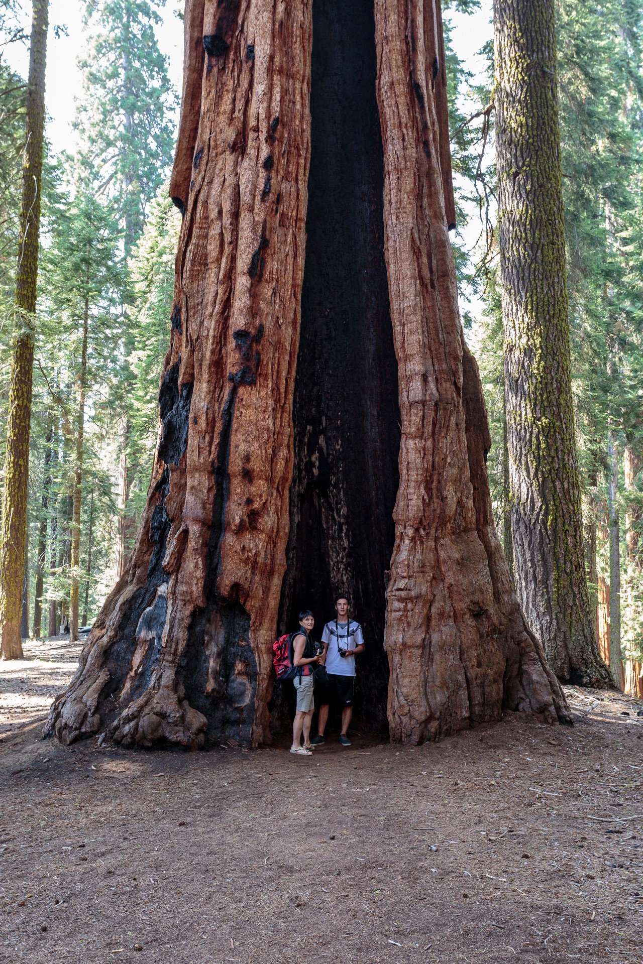 Sequoia National Park