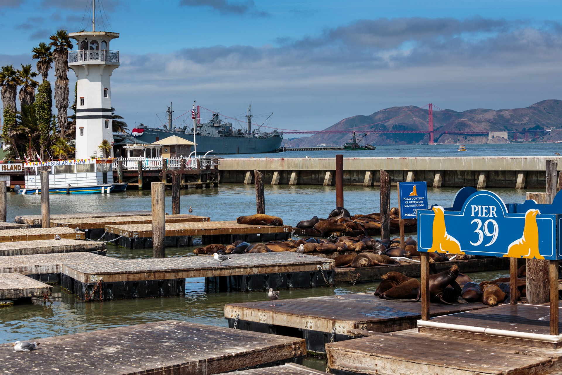 Peer 39 - San Francisco