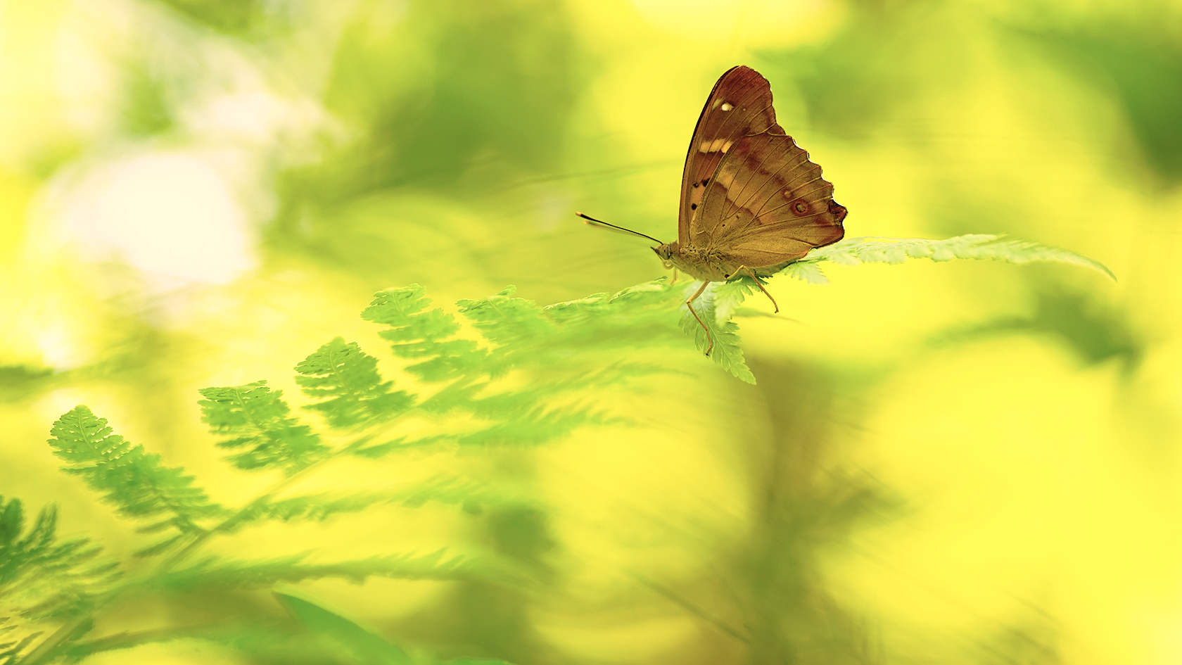 Disturbed upset mud-puddler