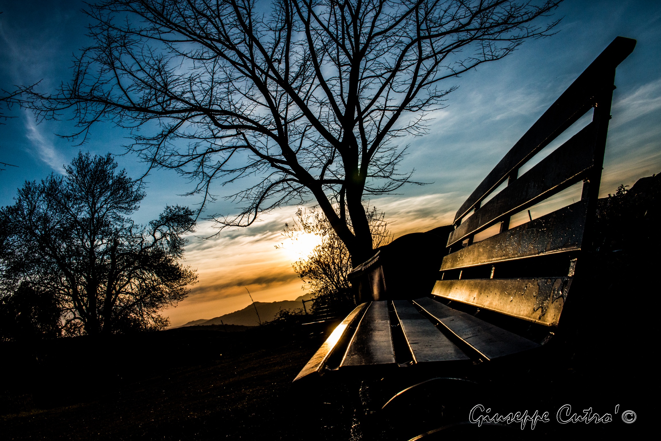 Bench
