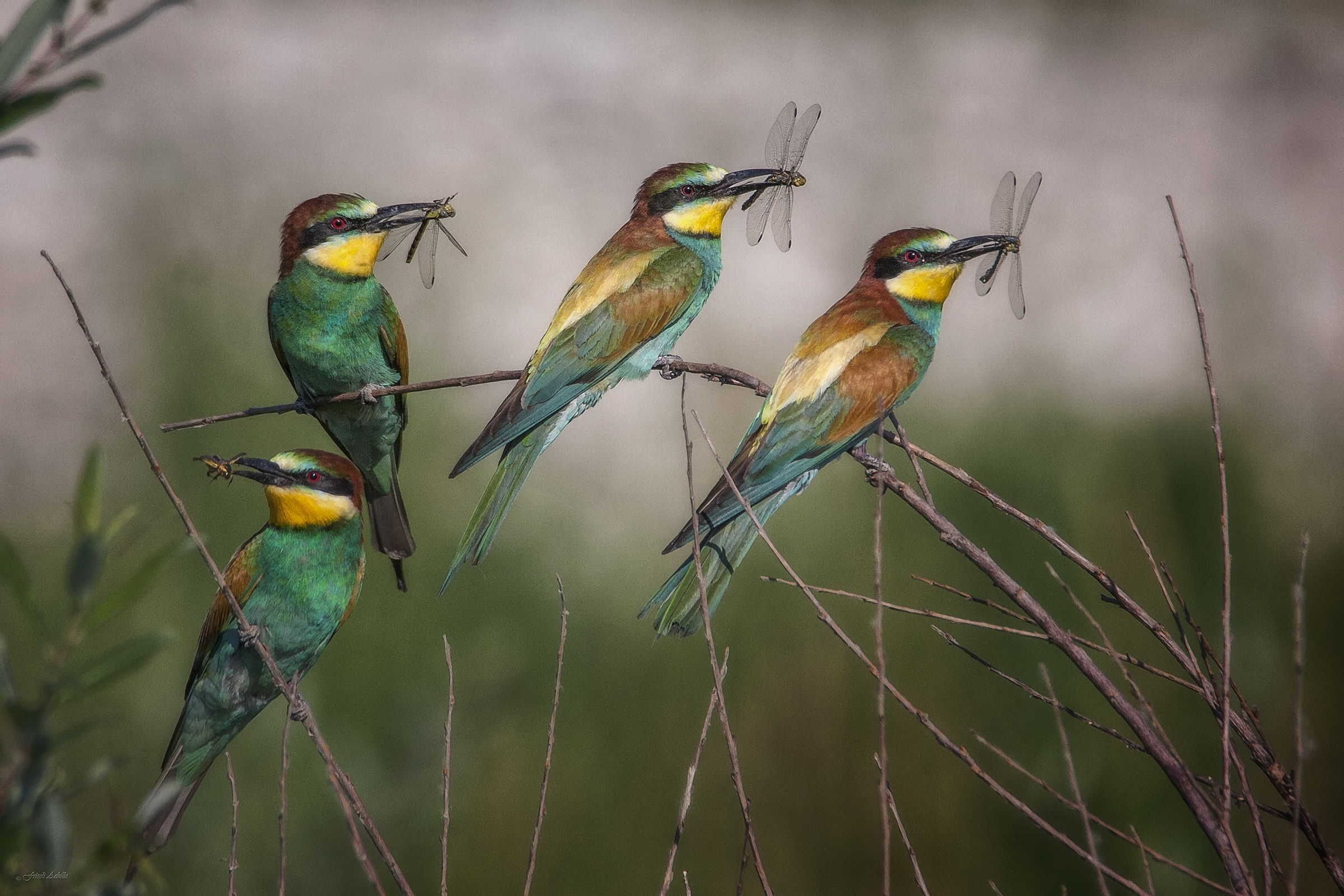 The summer sales began .........