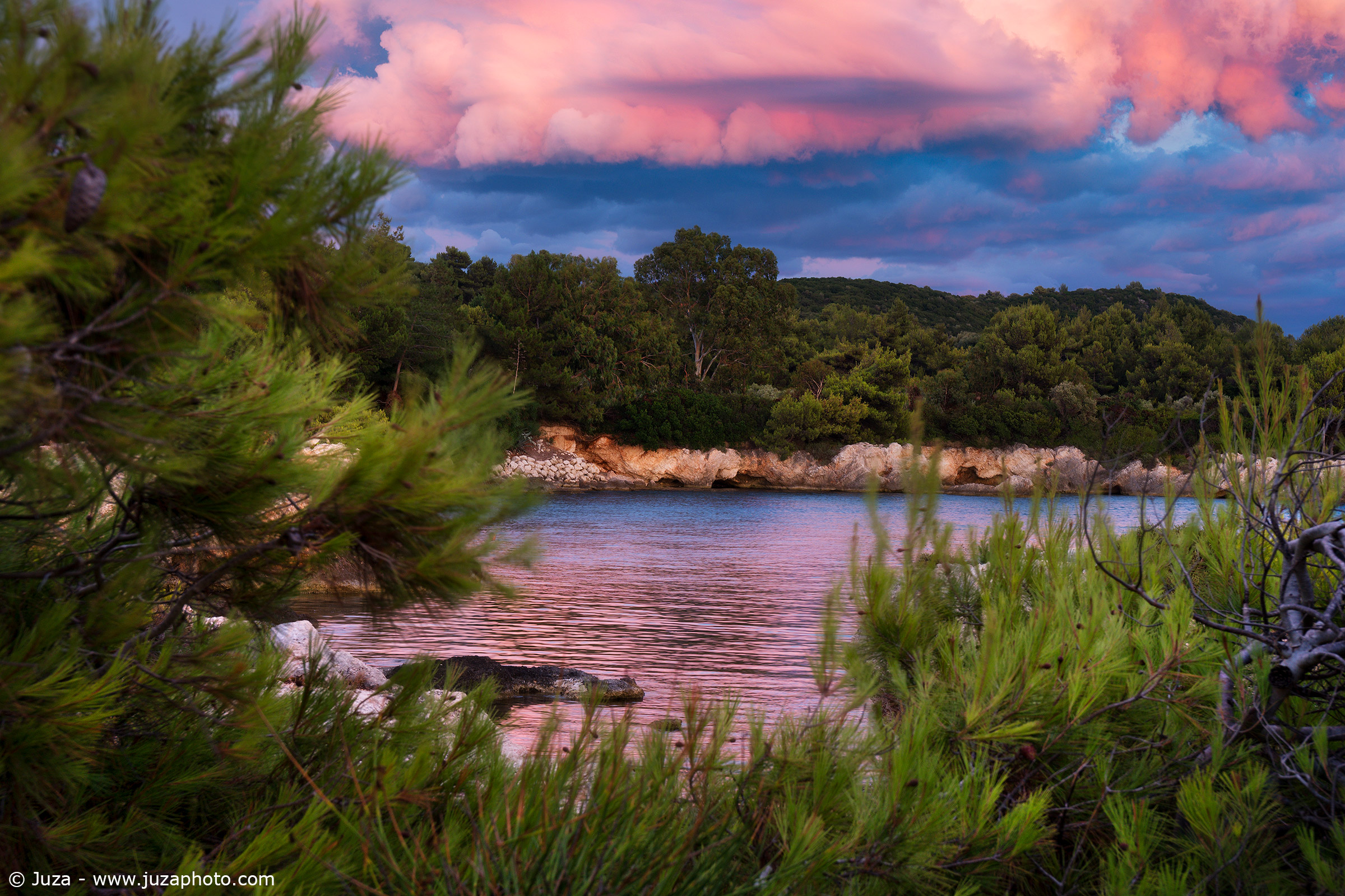 Tramonto nella pineta