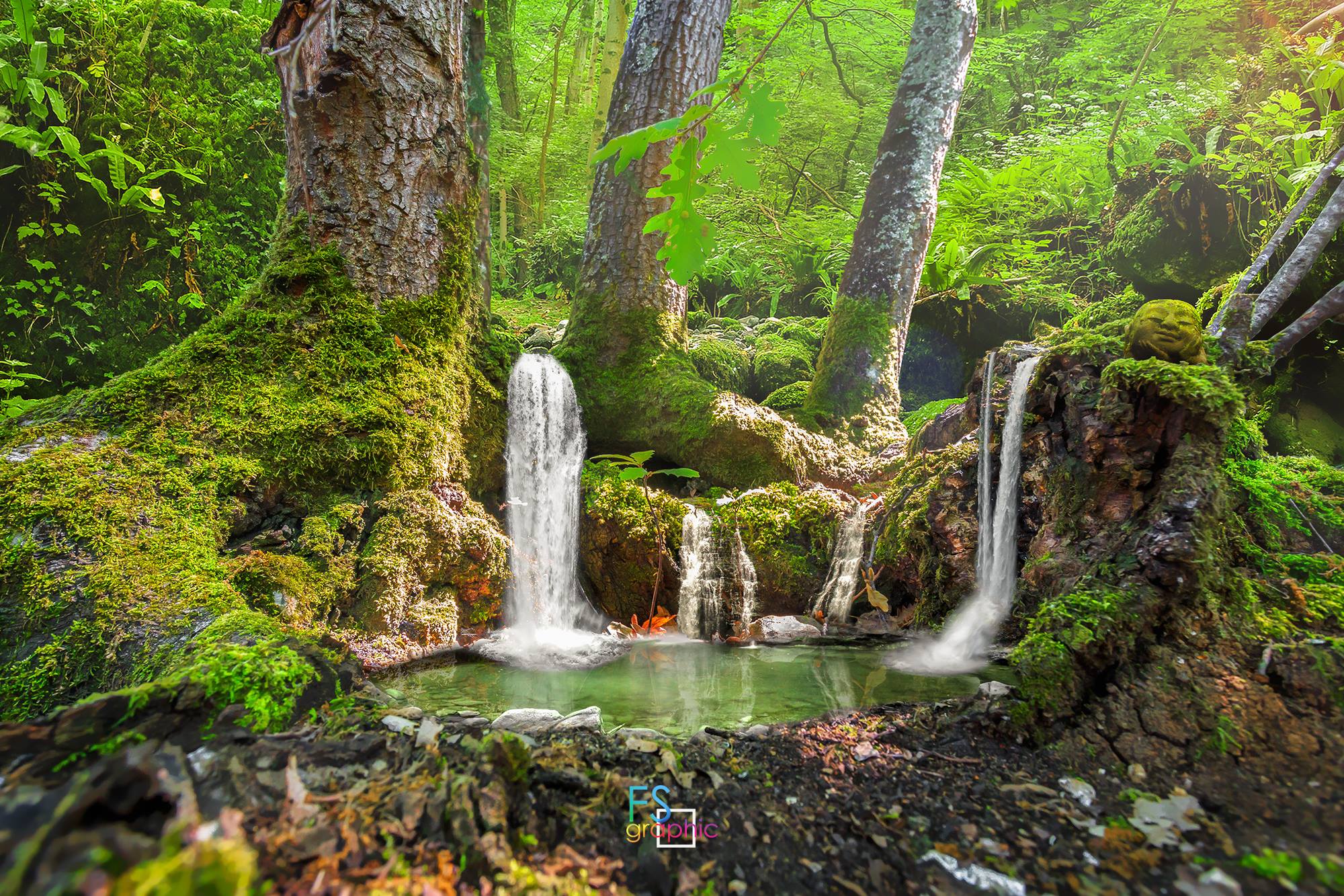 Cascate ai piedi di un albero