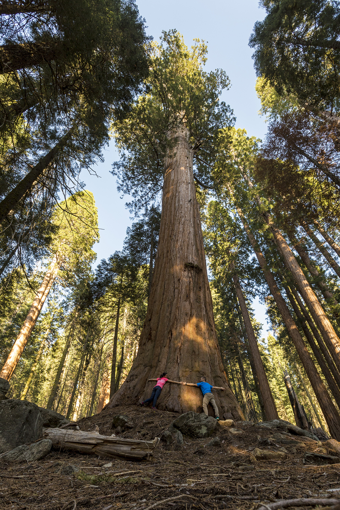 Embracing the giants