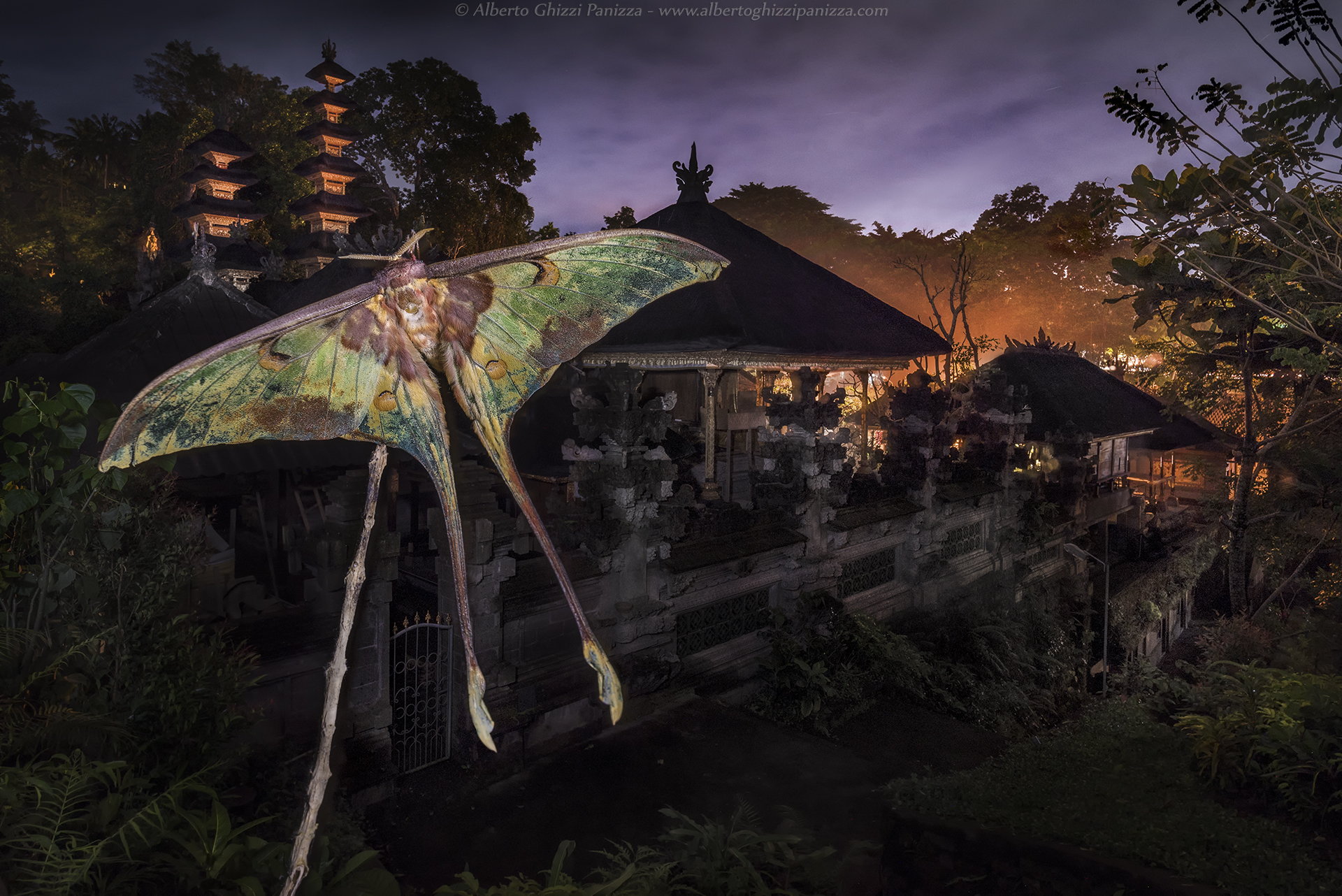 Una sacra creatura notturna tra i templi indonesiani