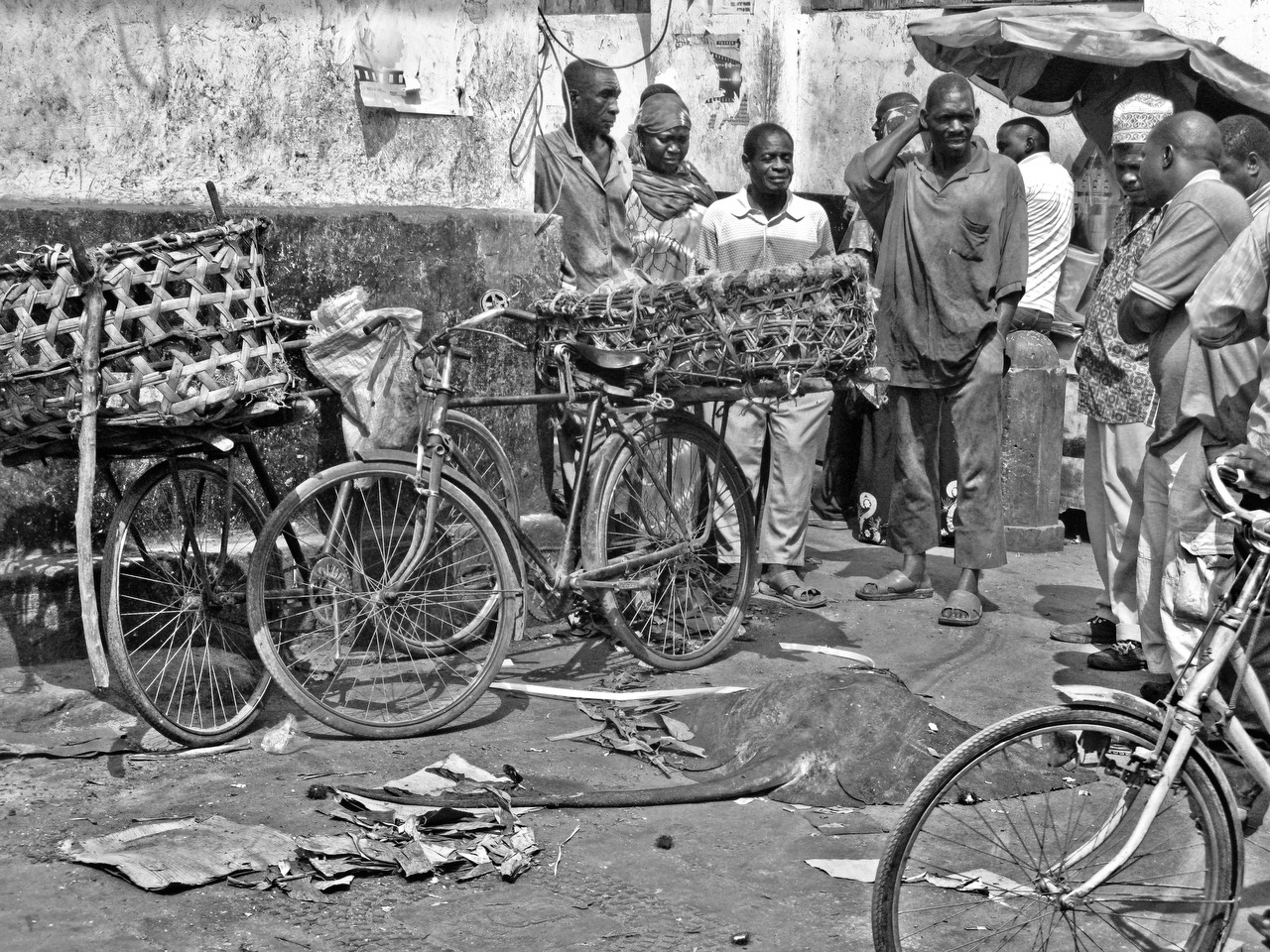Fish Market in Zanzibar, Stone Town