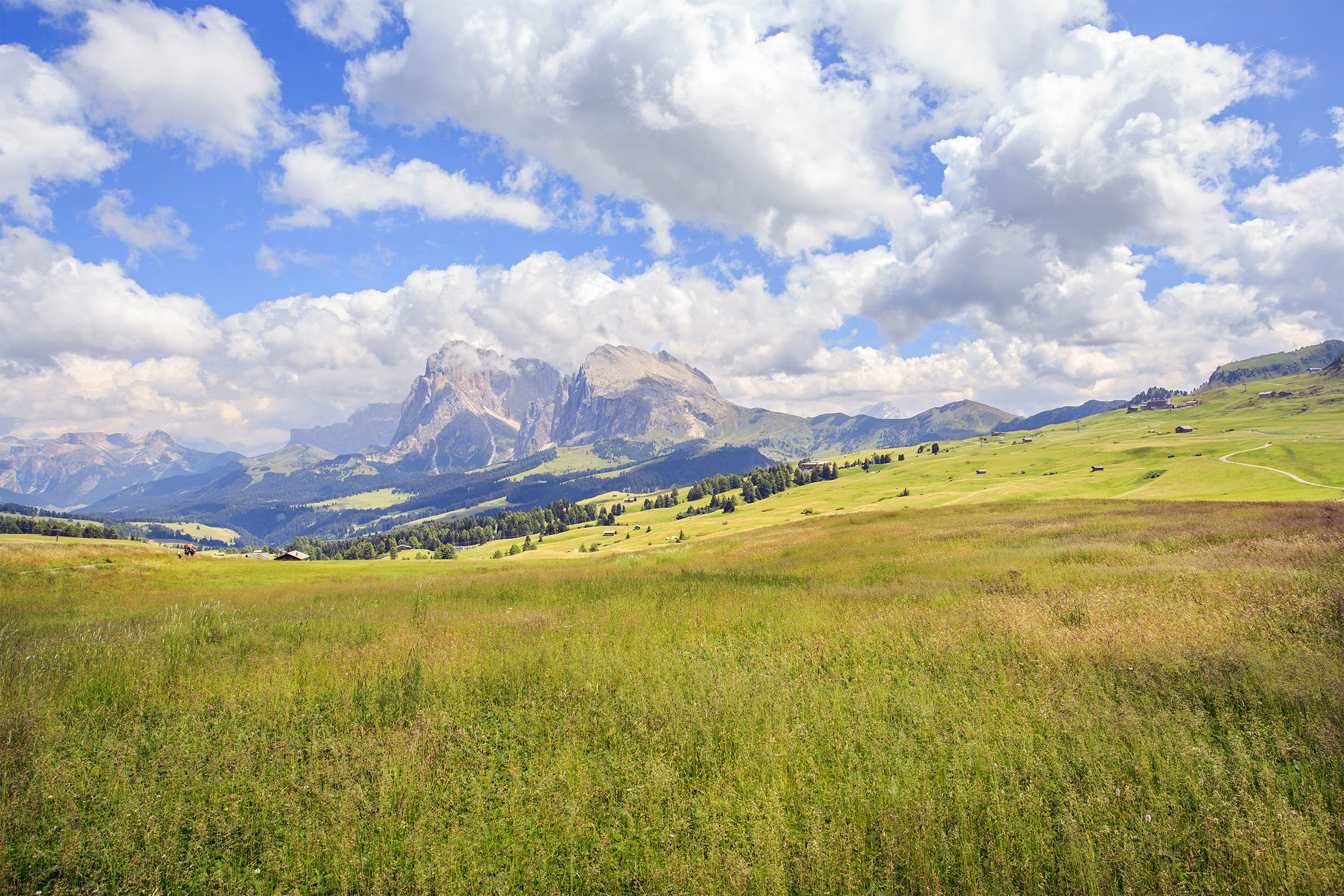 Alpe di Siusi