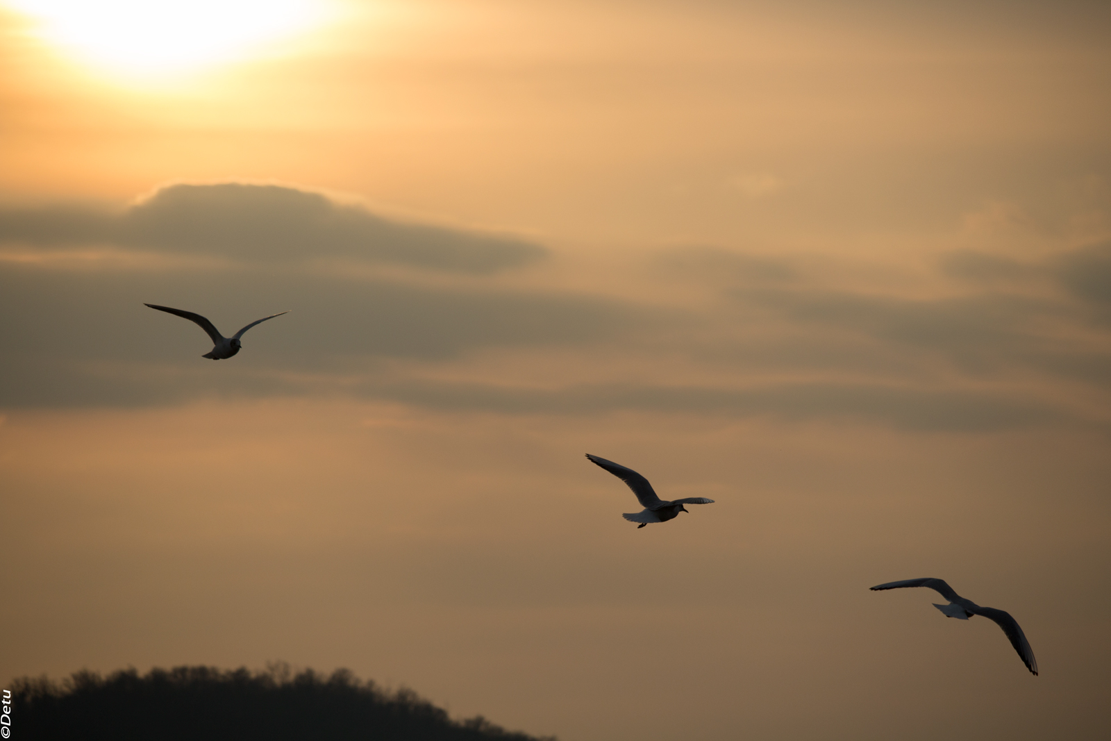 Verso sera... verso casa.