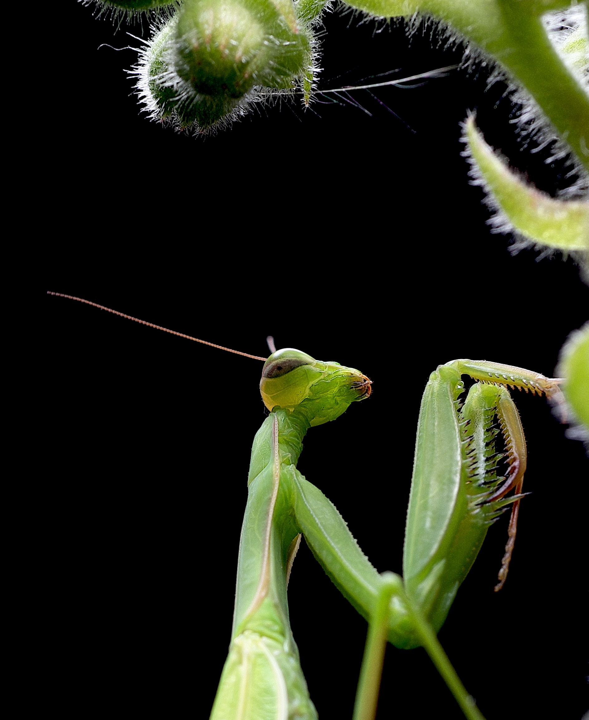 What do you have to look at?