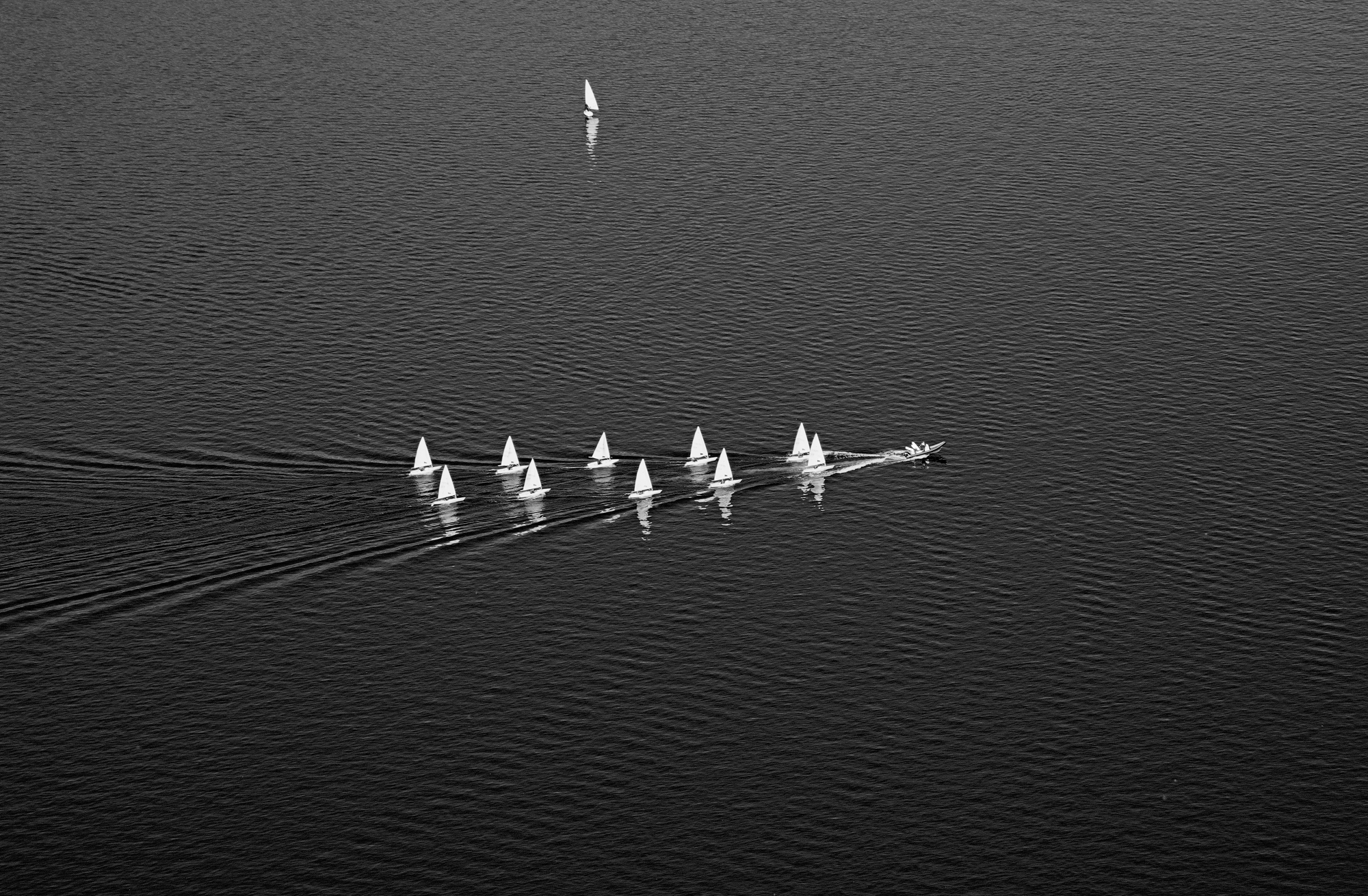 Il brutto anatroccolo