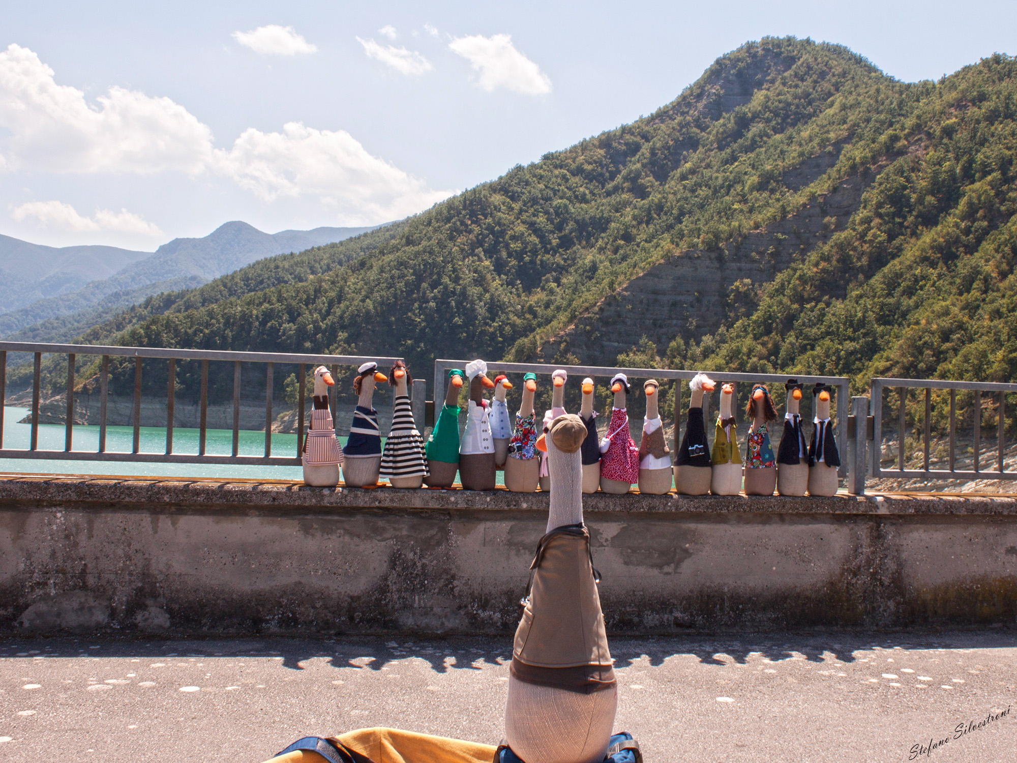 "WHAT, look at QUAAA!"