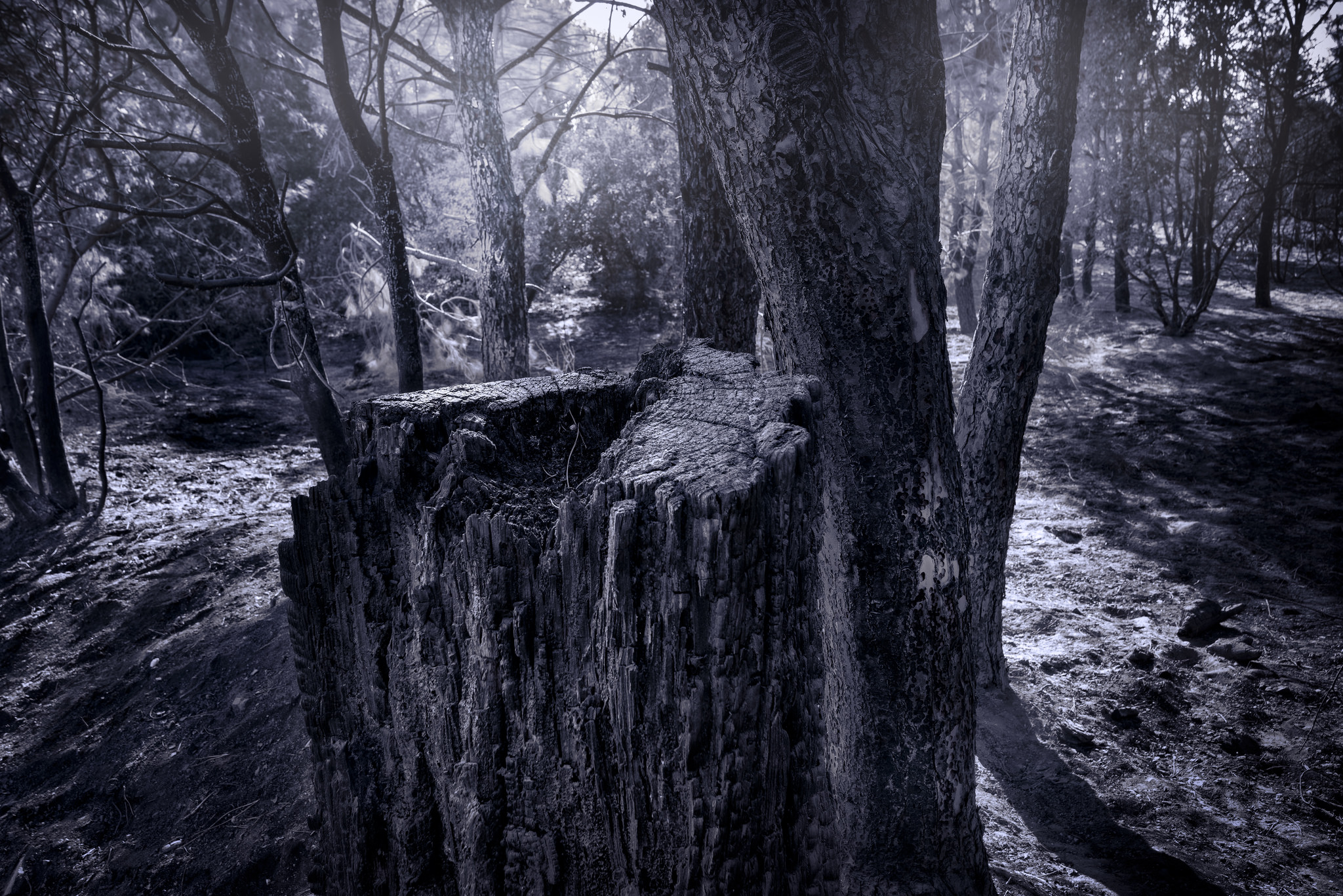 The greatest weapon of mass destruction is ignorance.