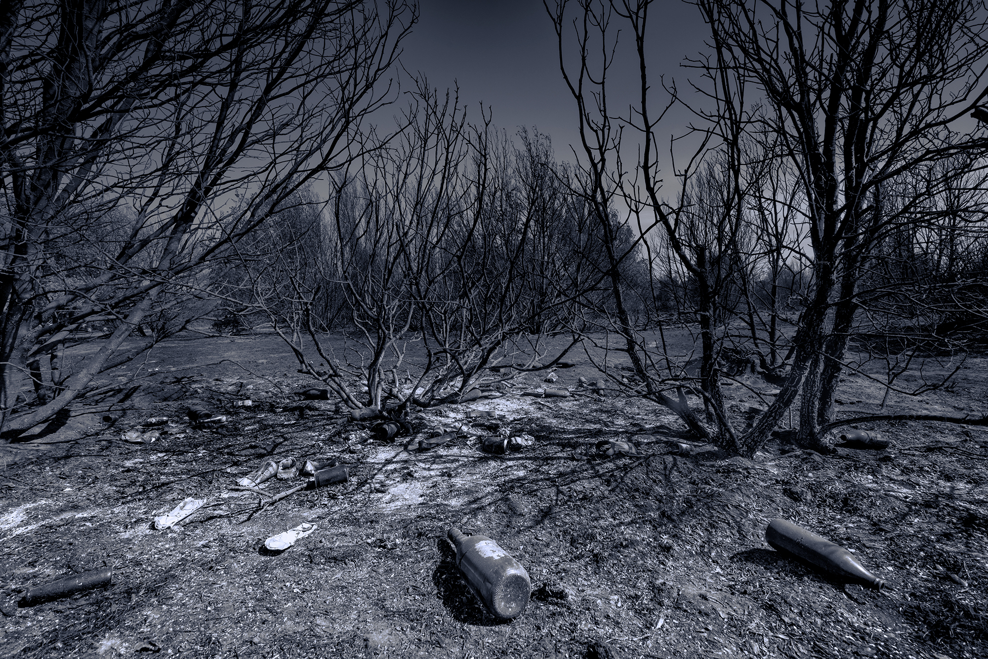 The disaster and its colors