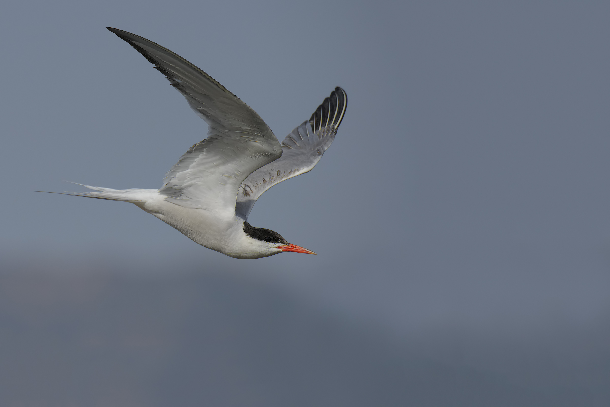 The 'sliding' of the cervix