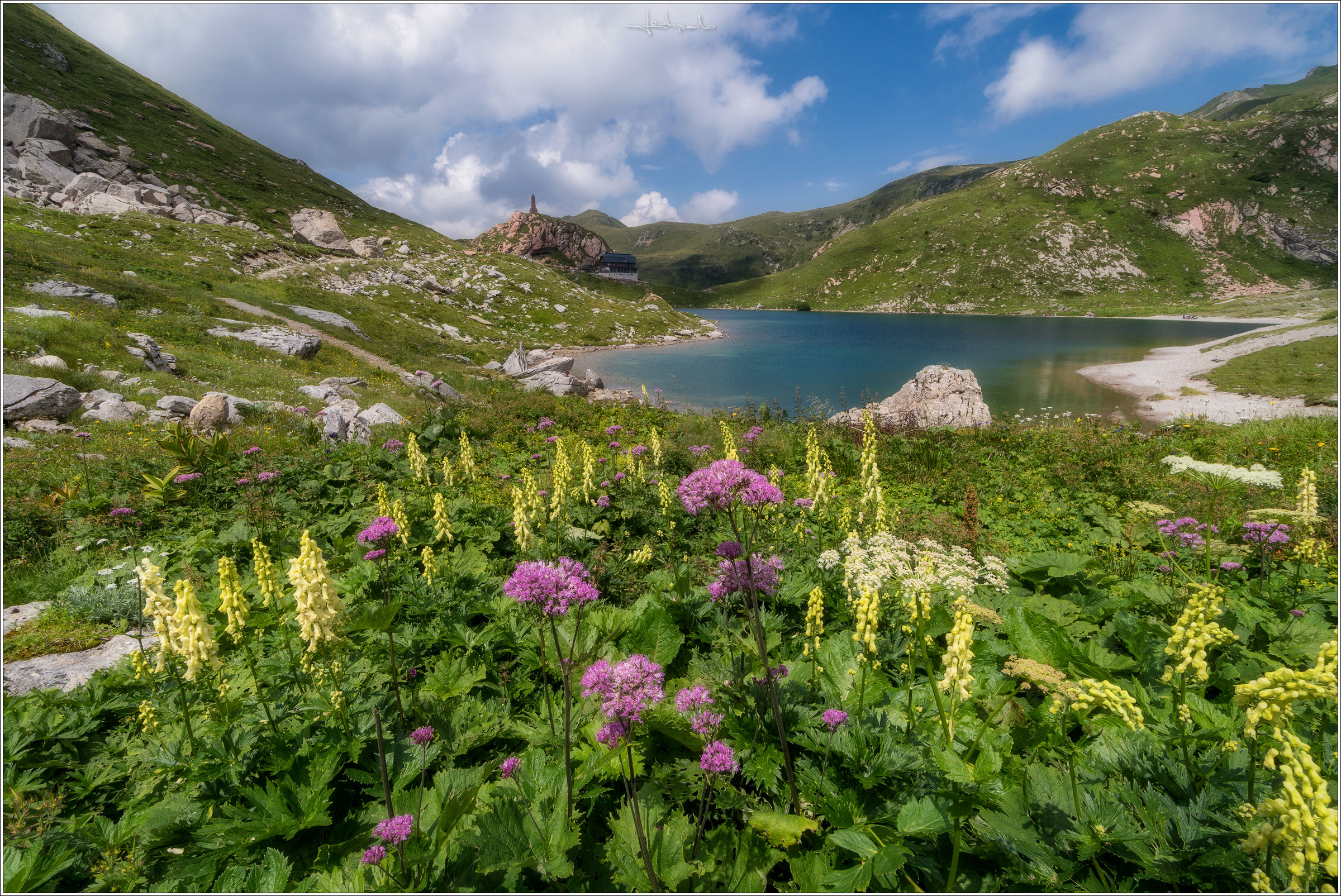 Fioriture ai bordi del lago Volaia