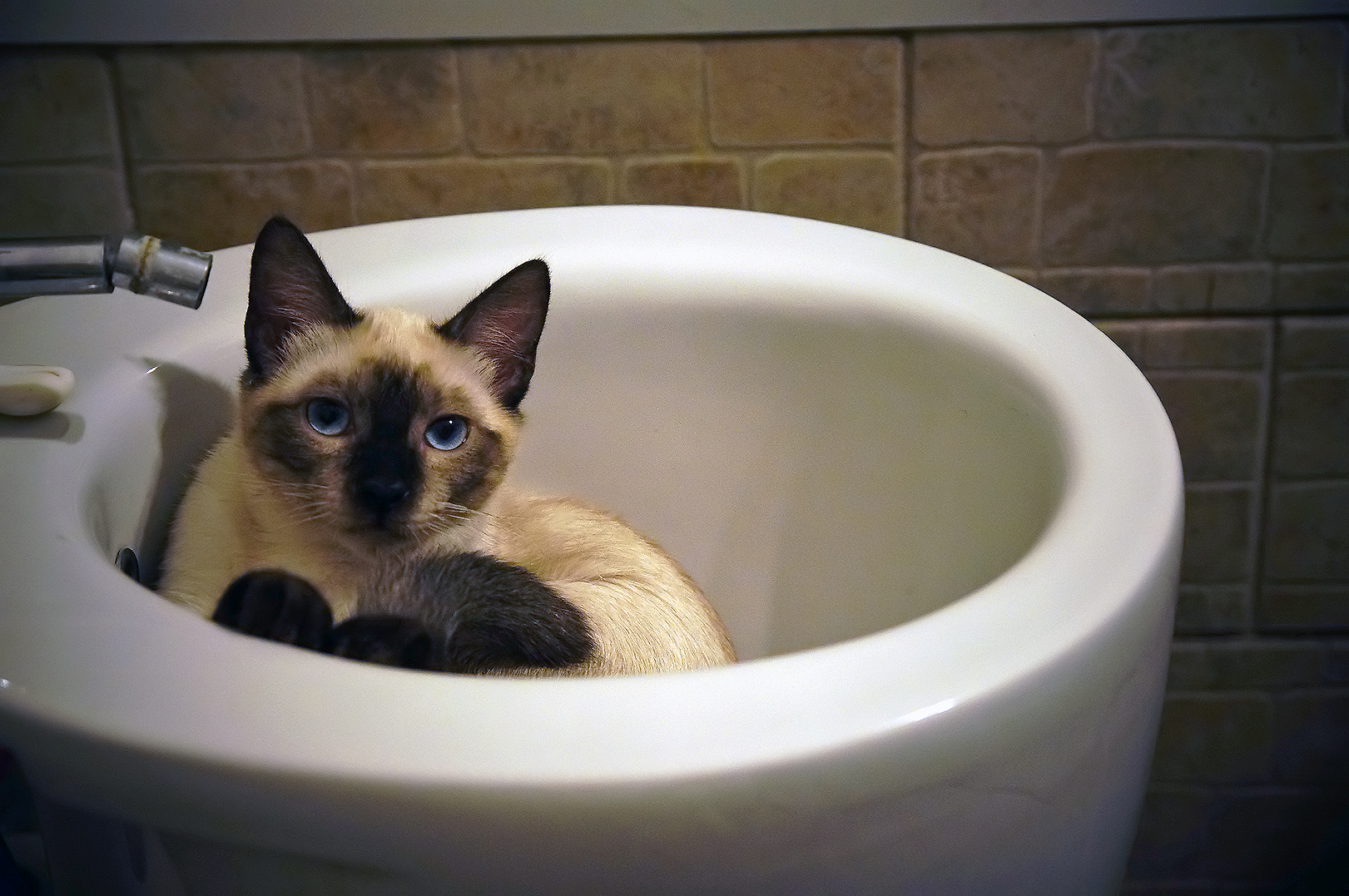 Un po' di igiene e poi nanna..