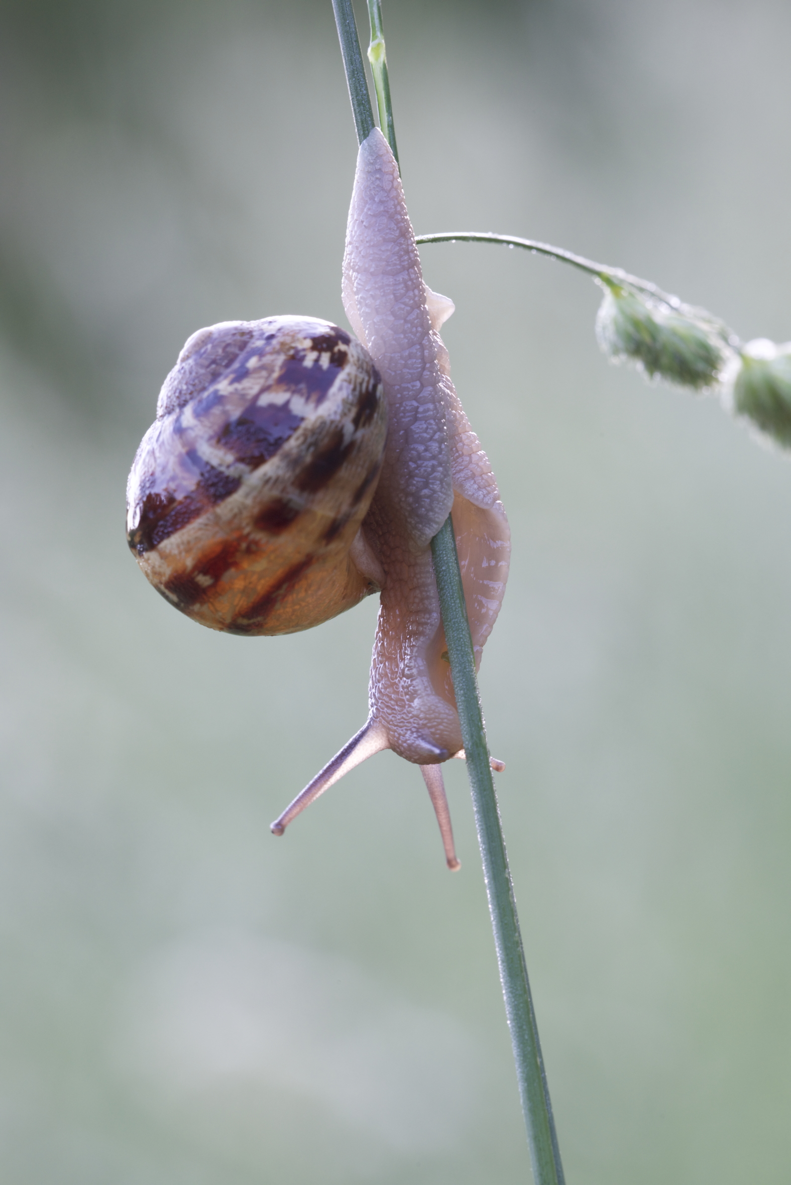 Ma guarda che mi tocca fare
