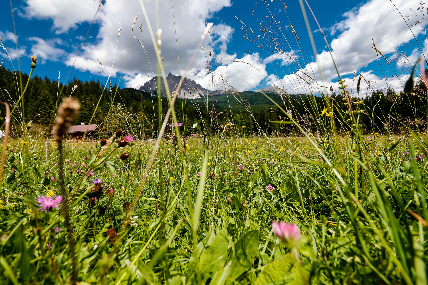 Valbona - different point of view