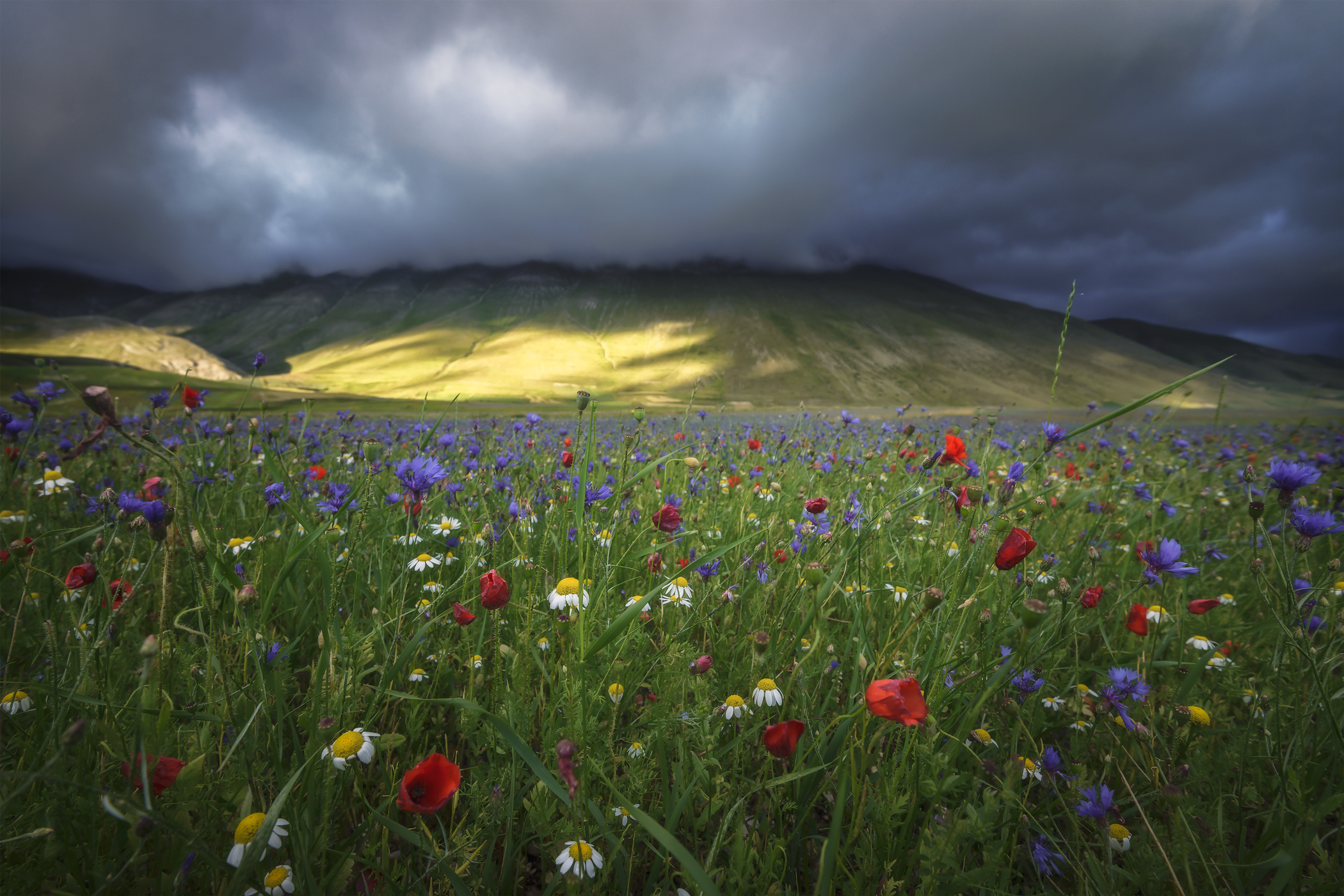 segnali di luce a castelluccio