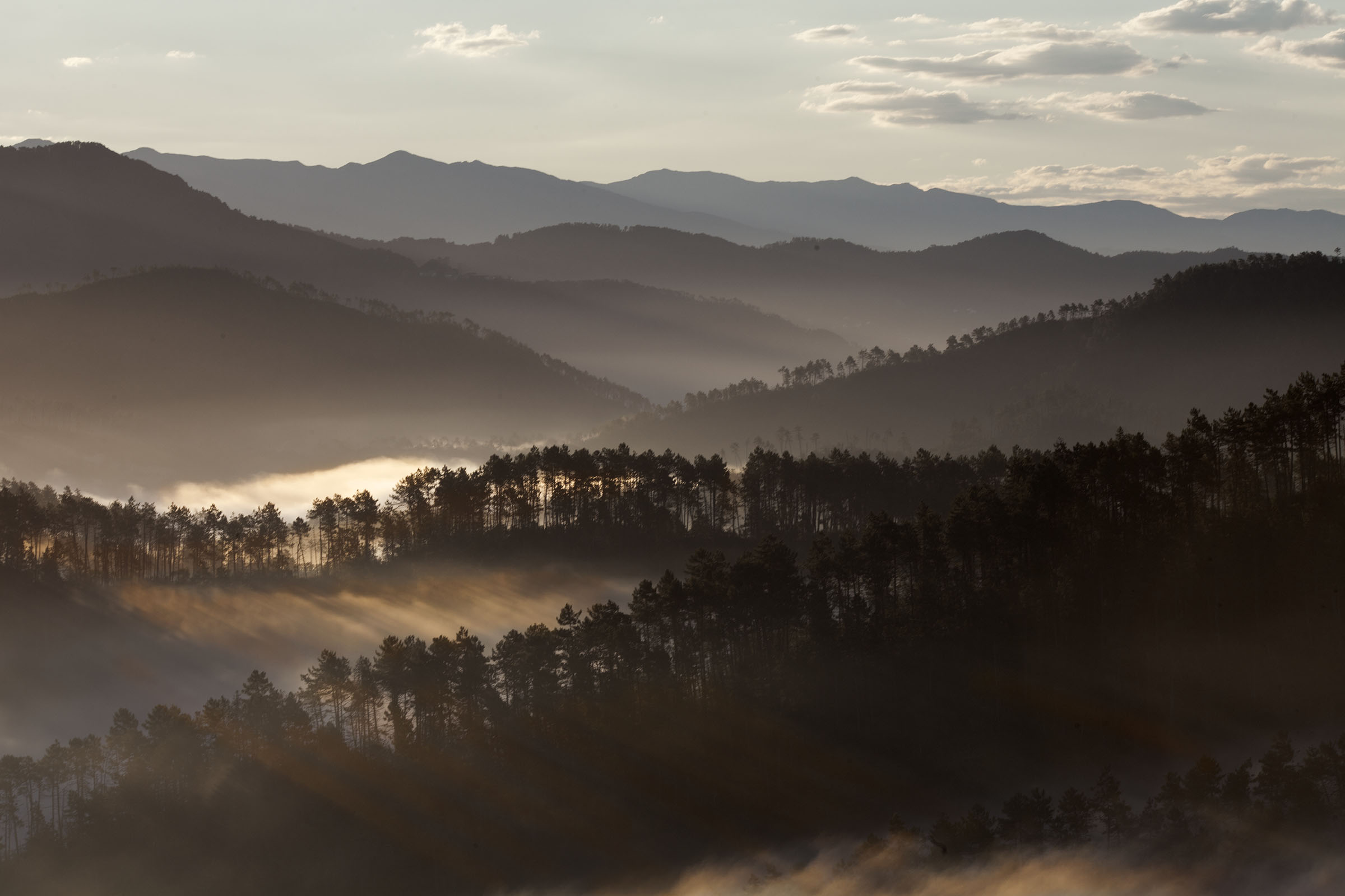 Vista della collina Ligure loc.Pignone