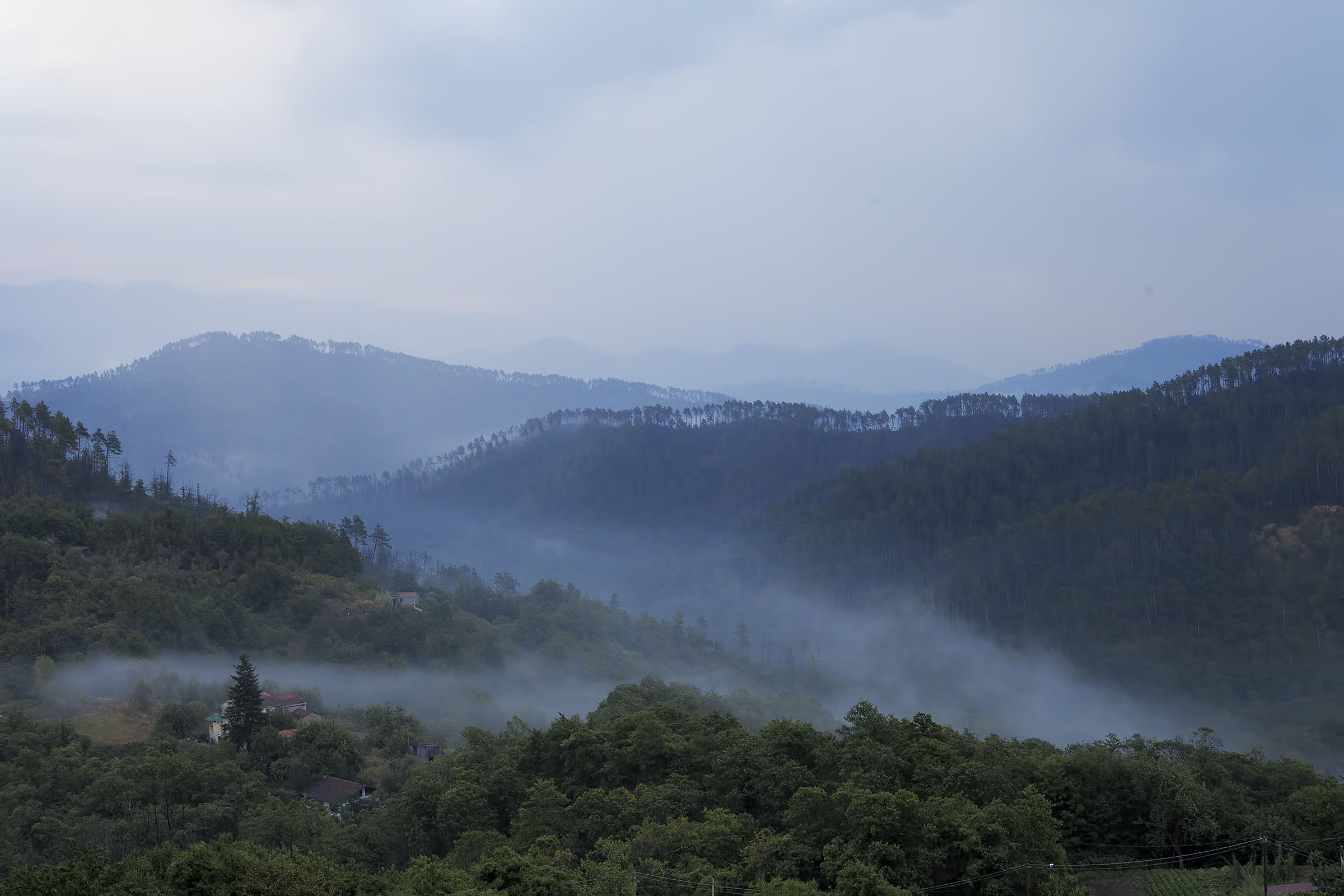 Vista della collina Ligure loc.Pignone