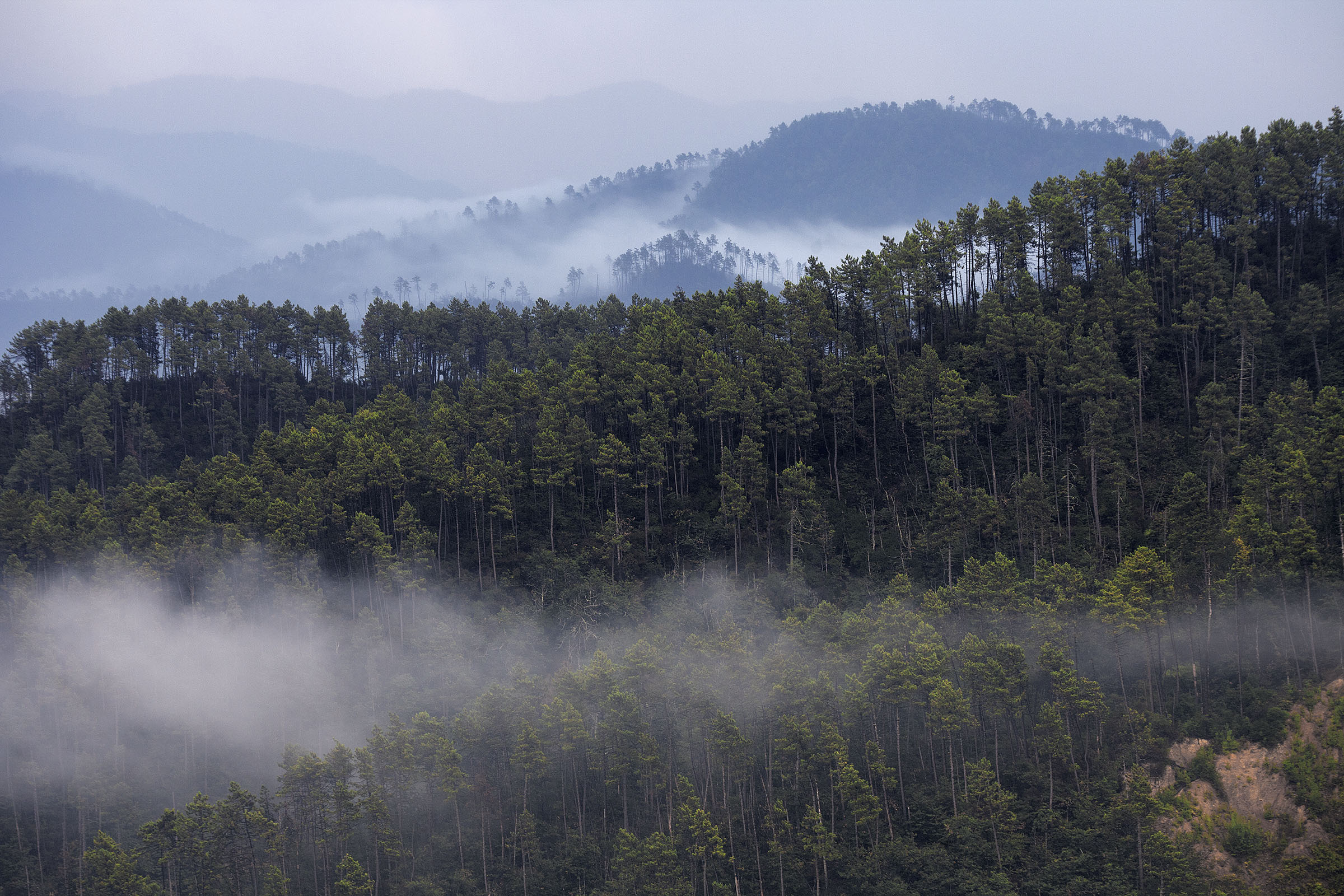 Vista della collina Ligure loc.Pignone