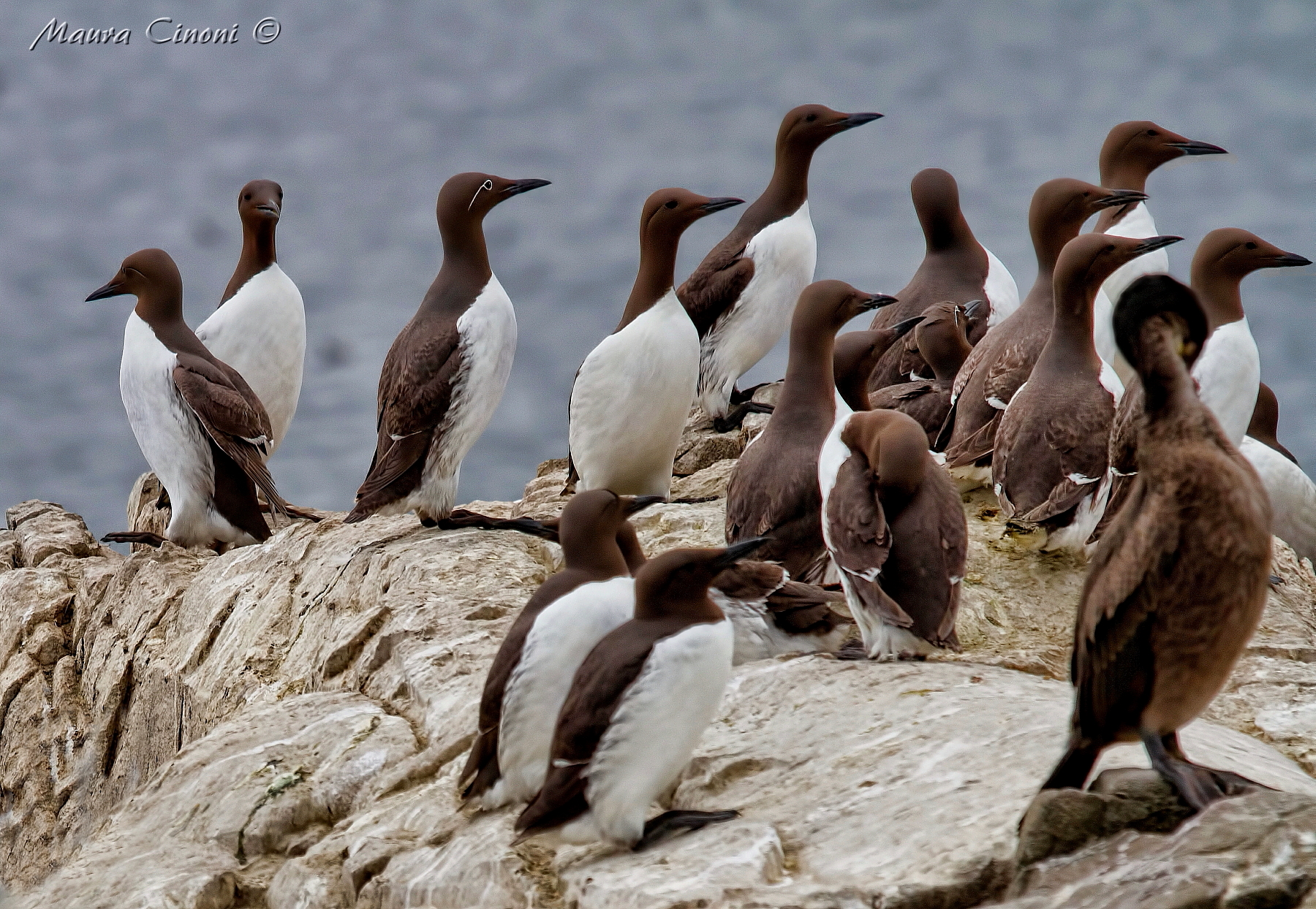 Uria.Terza from the left Uria dalle Redini