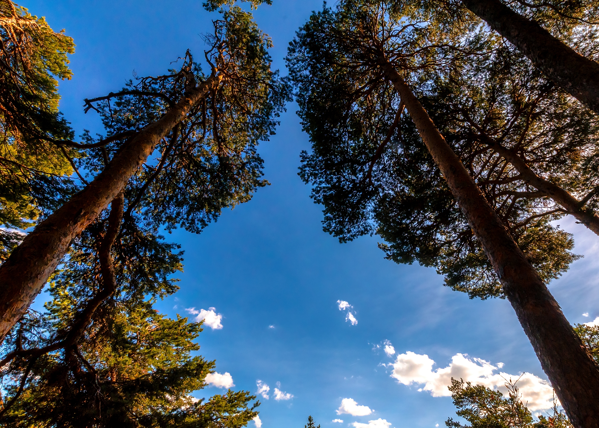 dipende dai punti di vista...