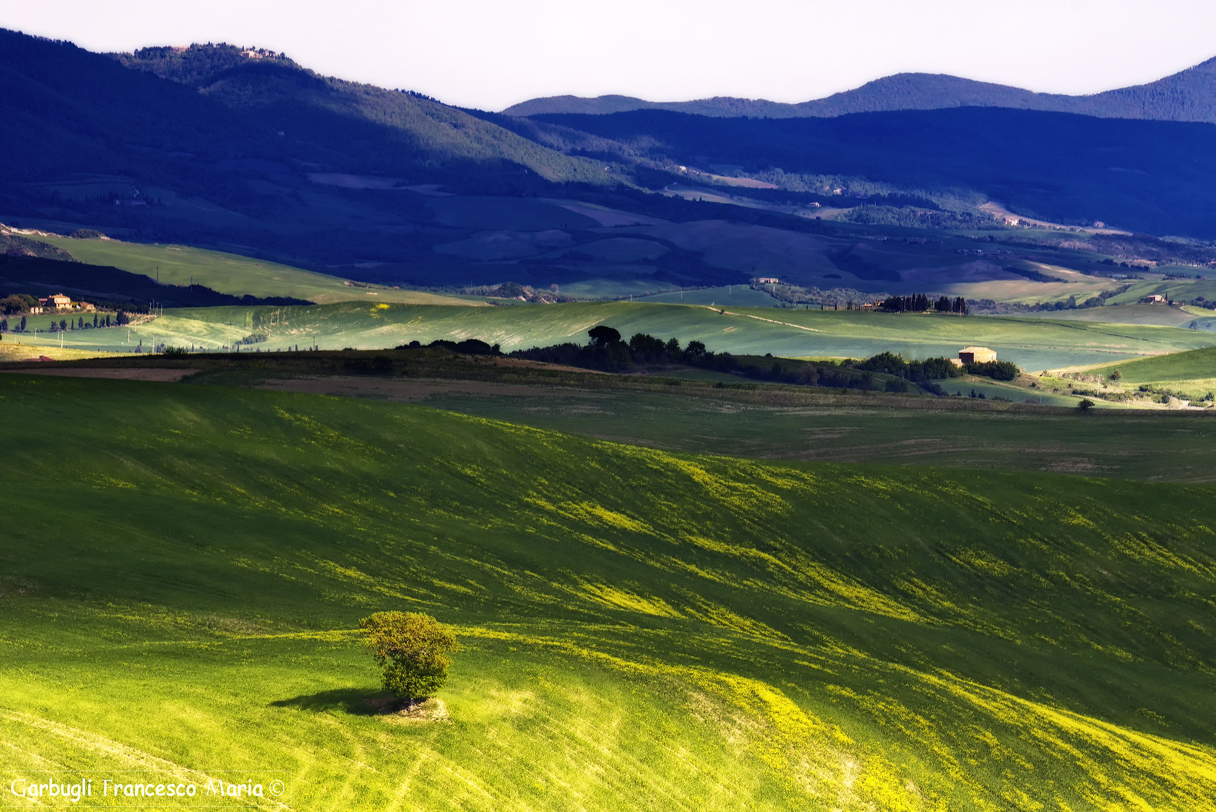 Yellow and green in Val d'Orcia