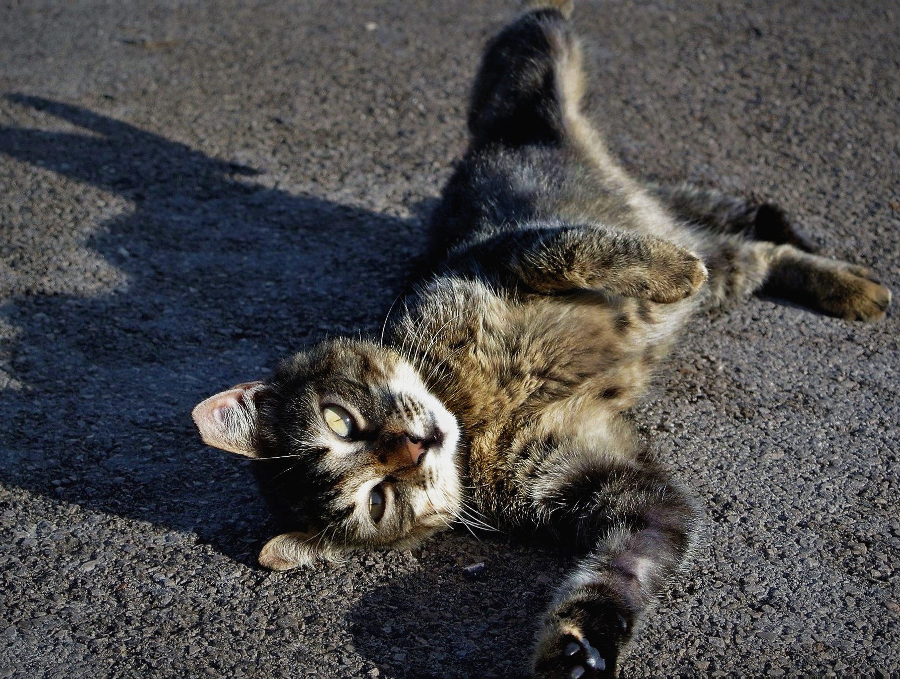 Rolling & Stretching