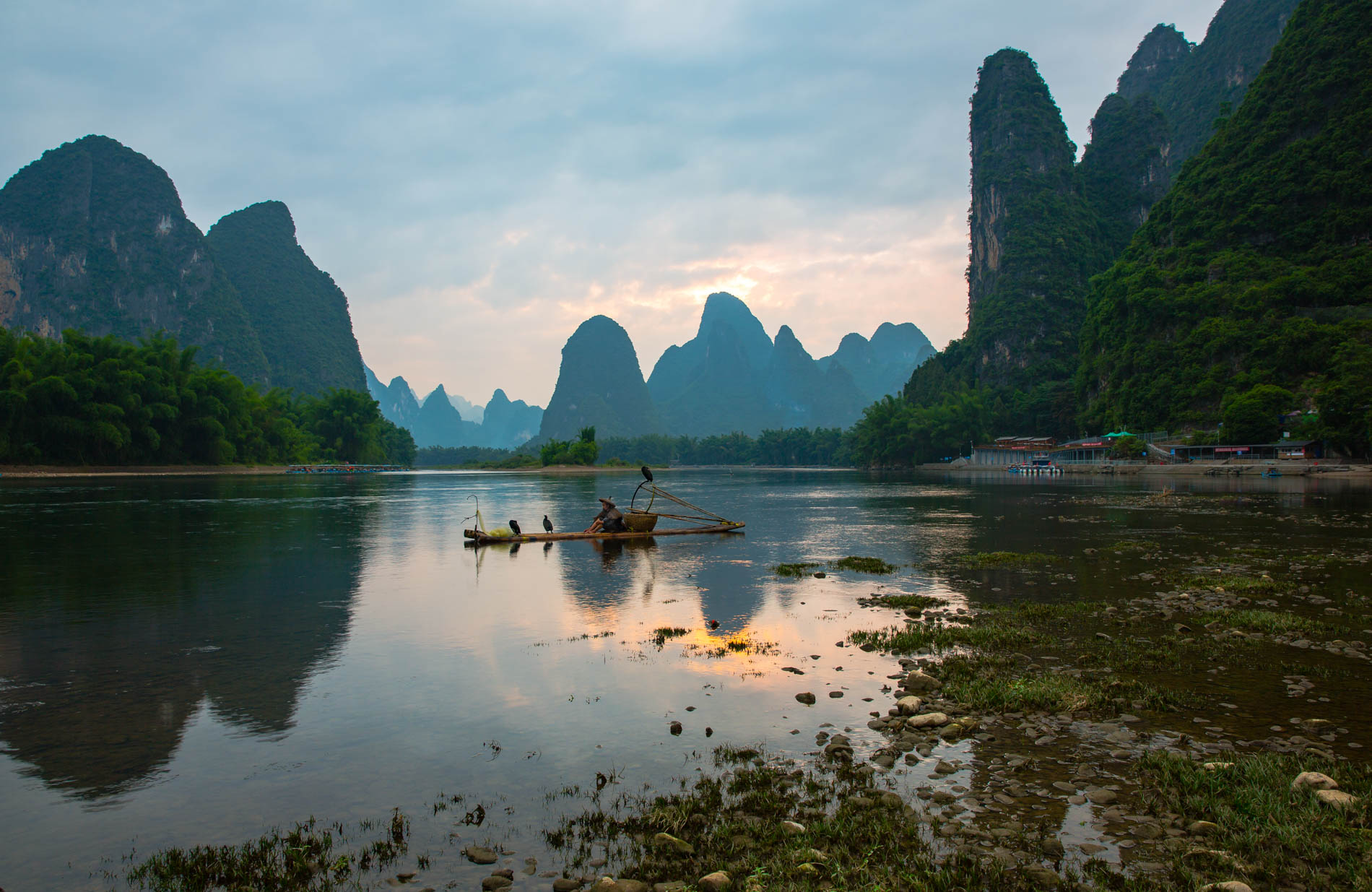 Fisherman relaxation with cormorants in Yangshuo