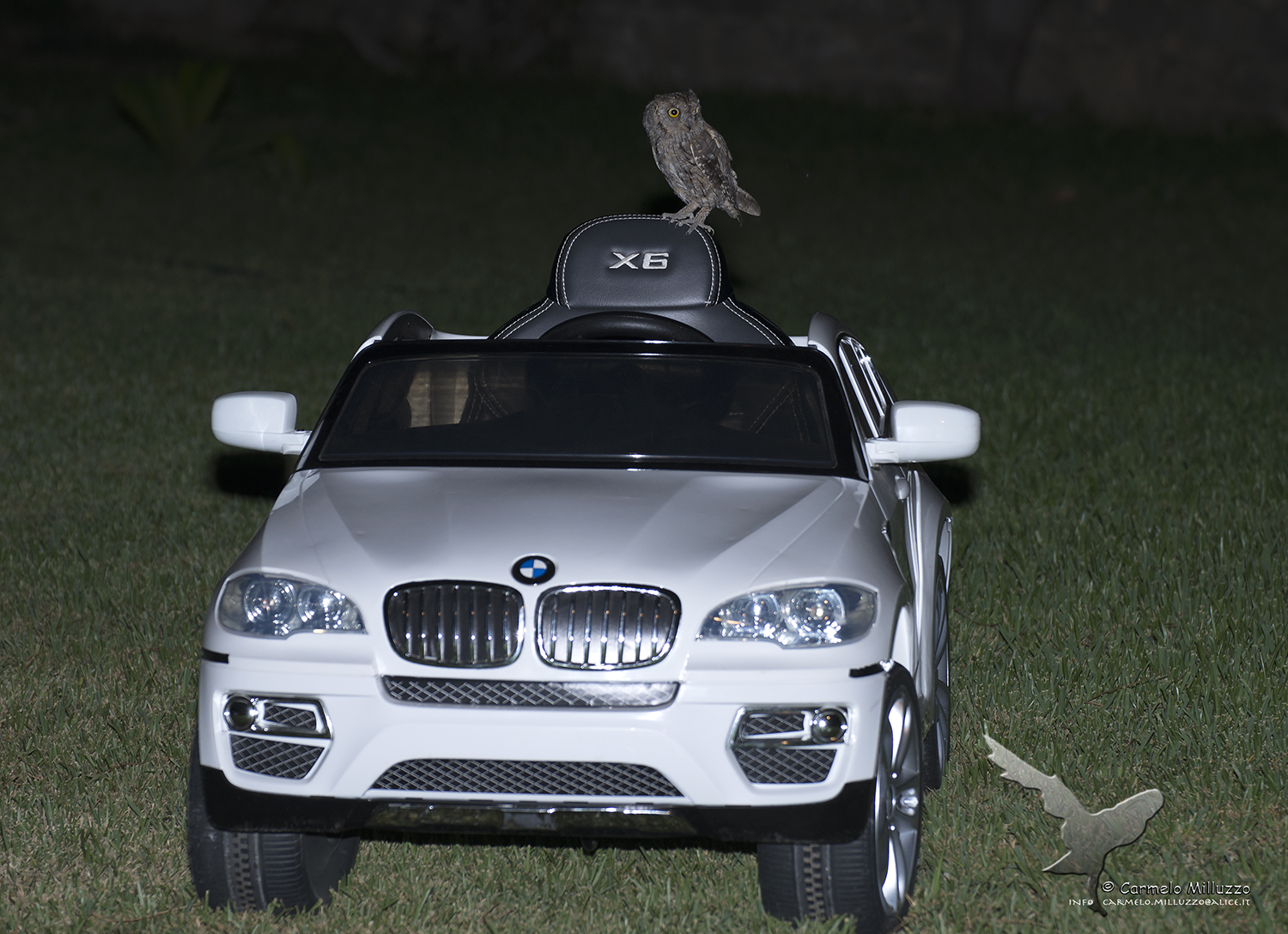 Pilot Guess _Assiolo_