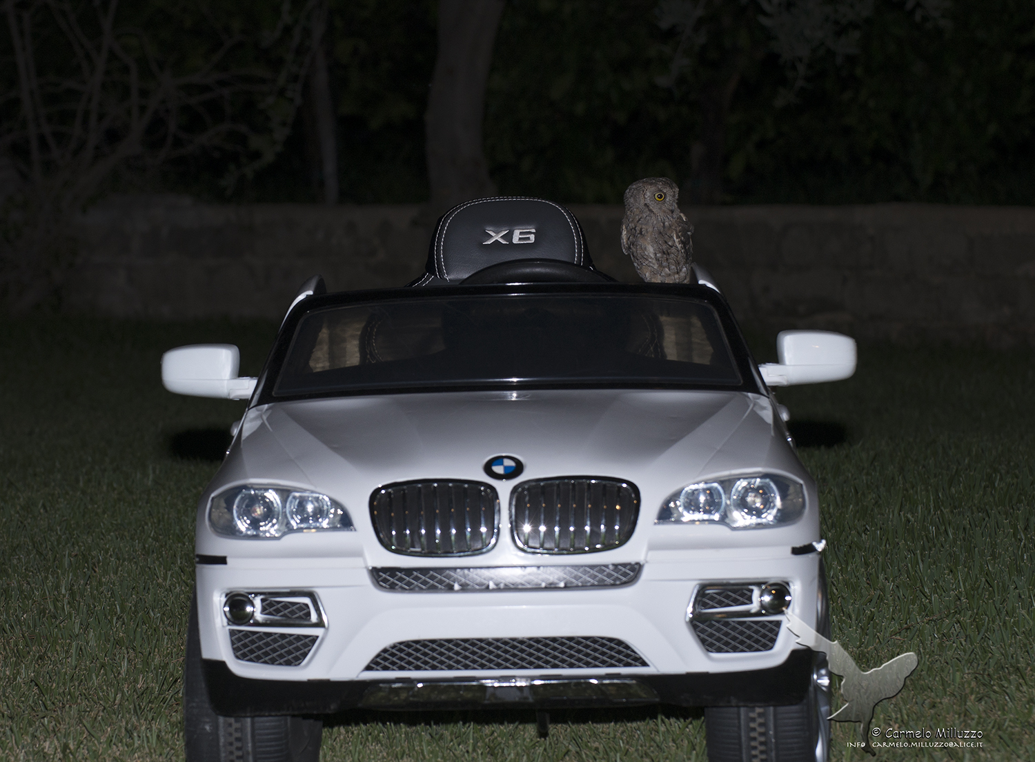 Pilot Guess _Assiolo_