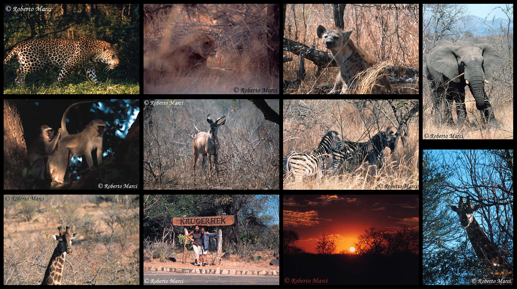 Sud Africa - Krugerhek 2002