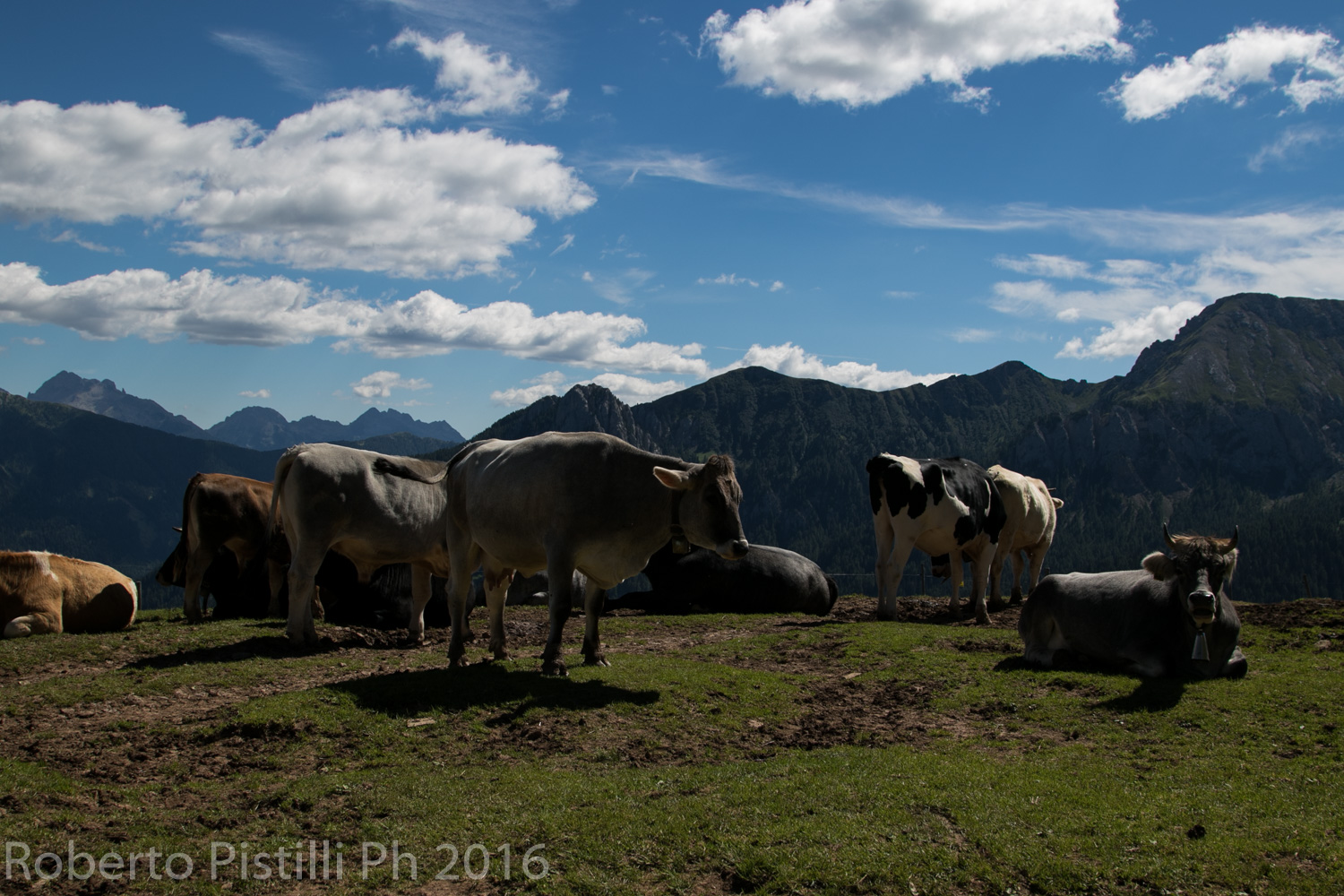 Step Padon - Val di Fassa TN