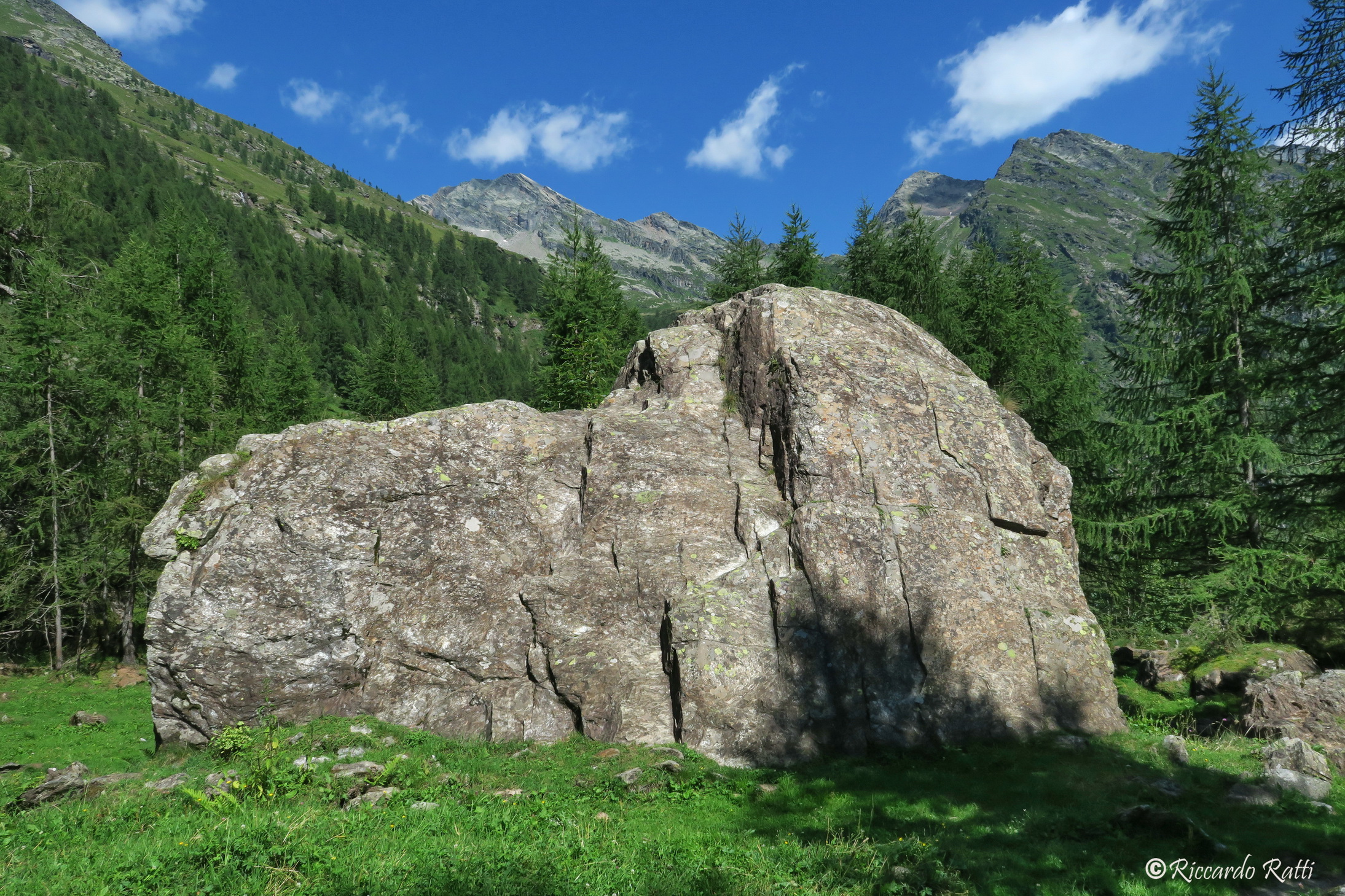 L'antenato fossile di snoopy