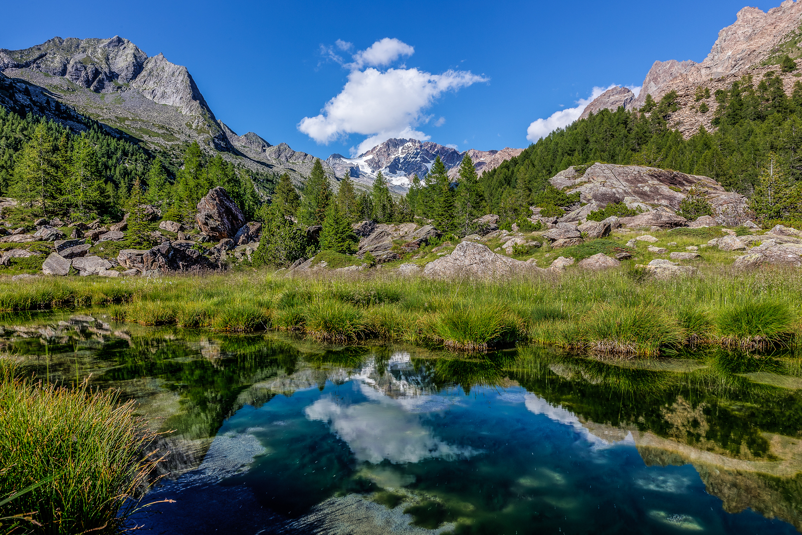 Summer in Preda Rossa