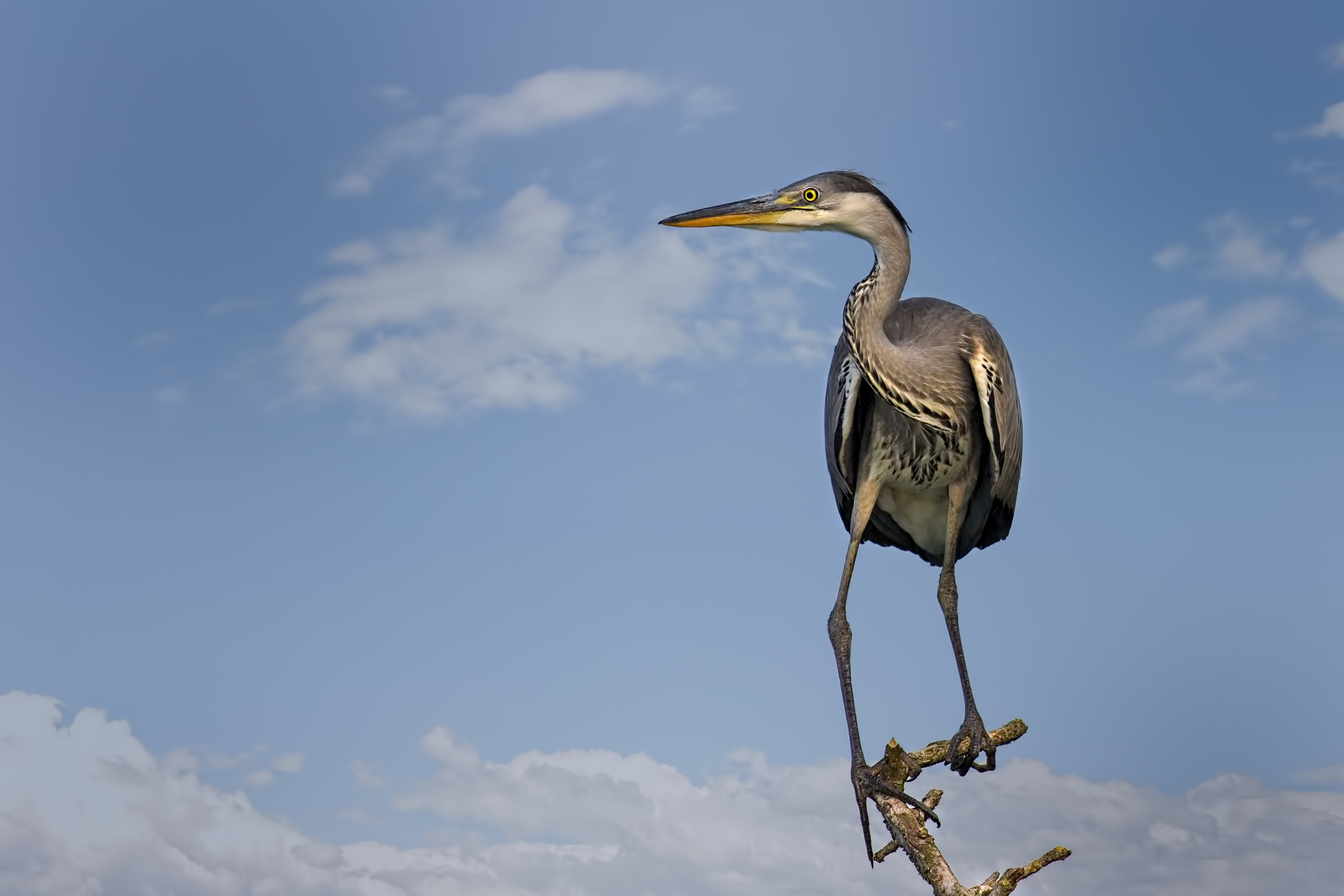 Upper Lake of Mantua - Dating 2017