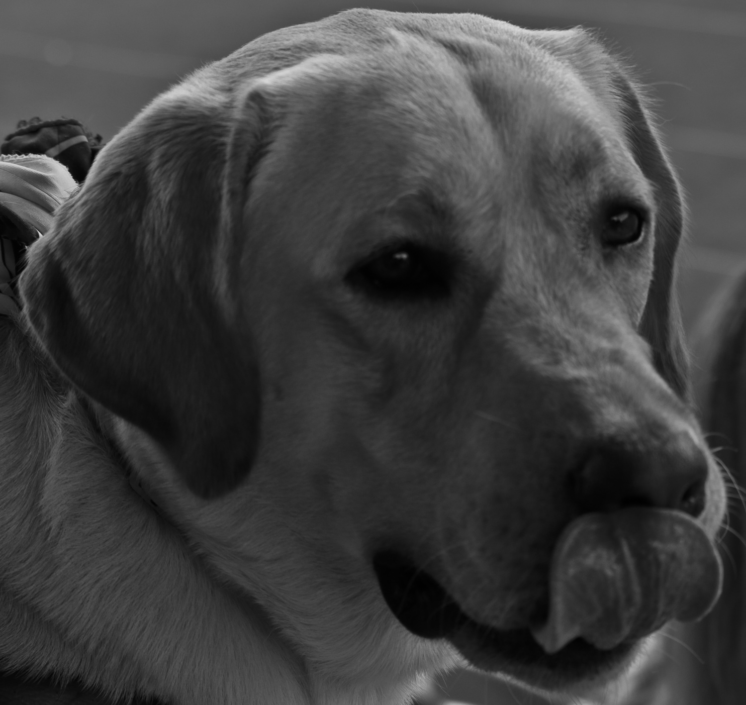 Stuff to lick your mustache