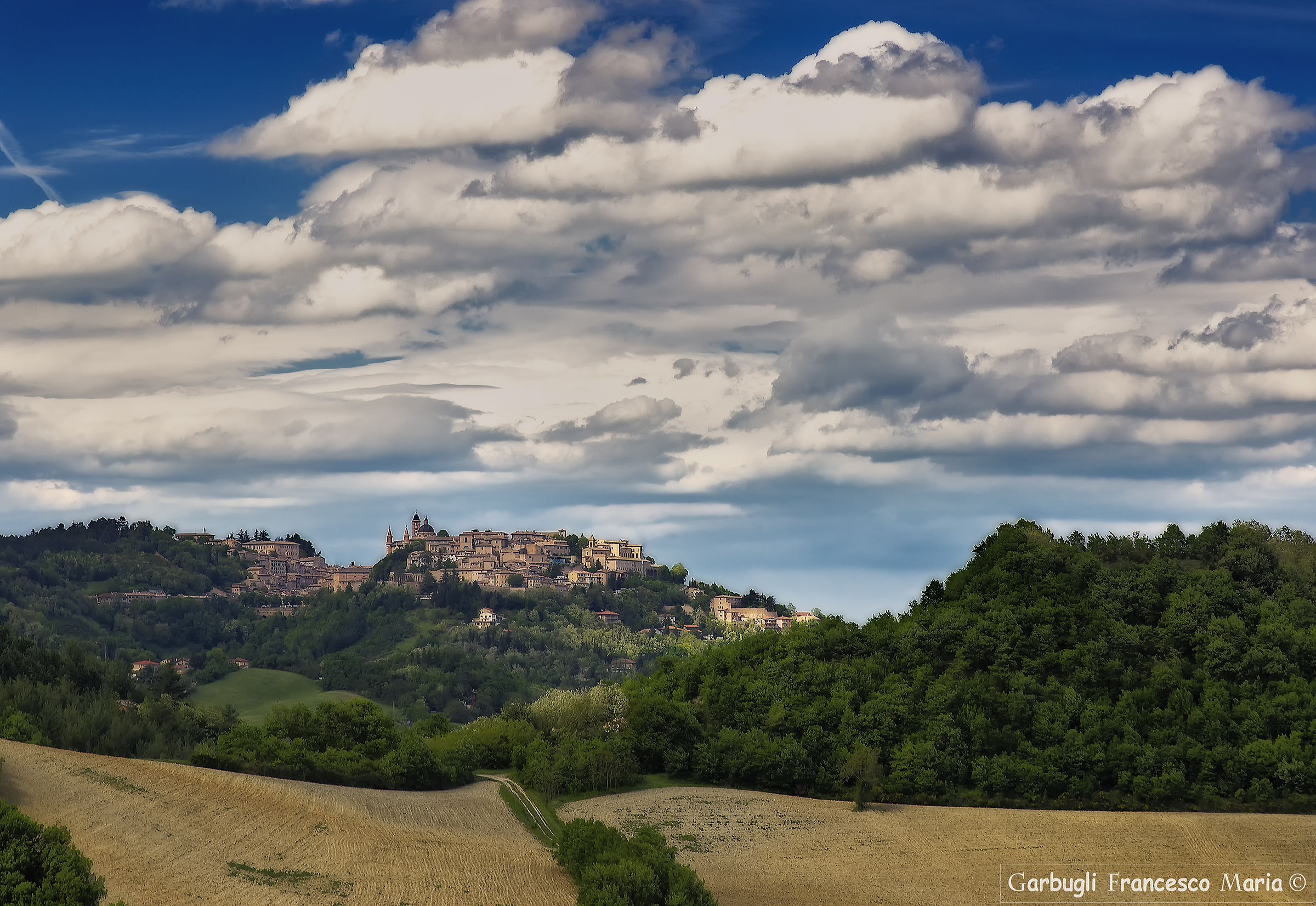 Urbino "The Ventoso hill"