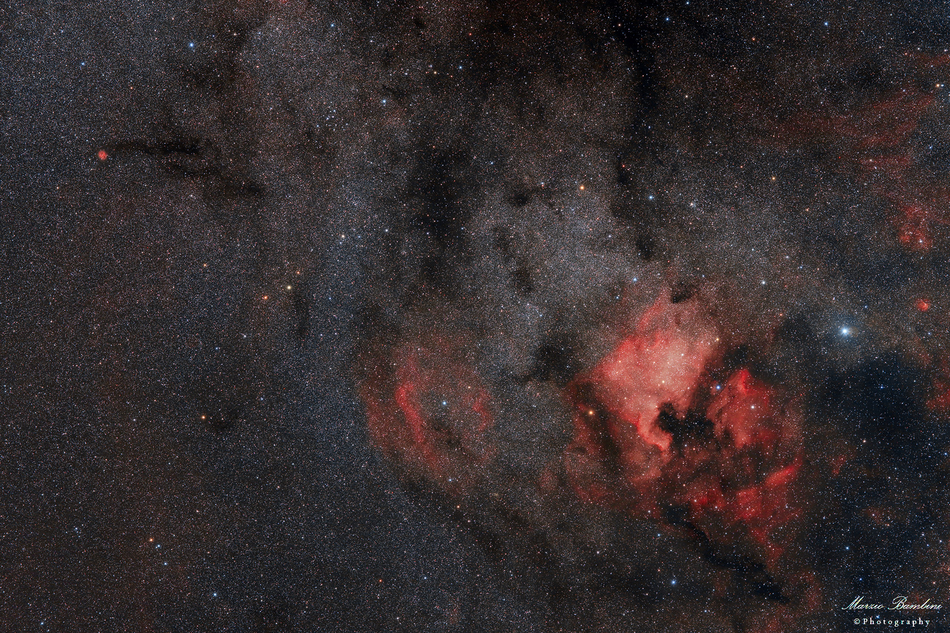 From IC 5146 Cocoon Nebula to IC 5070 Pellican Nebula