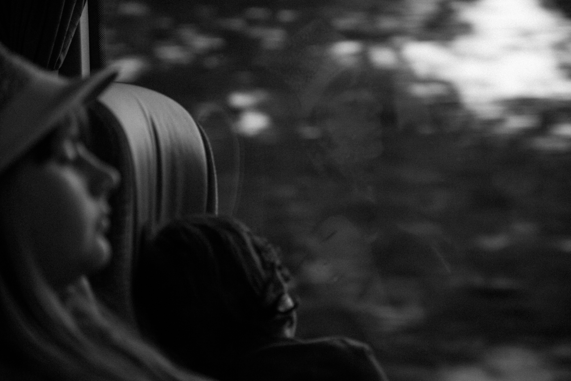 - The beauty around me -