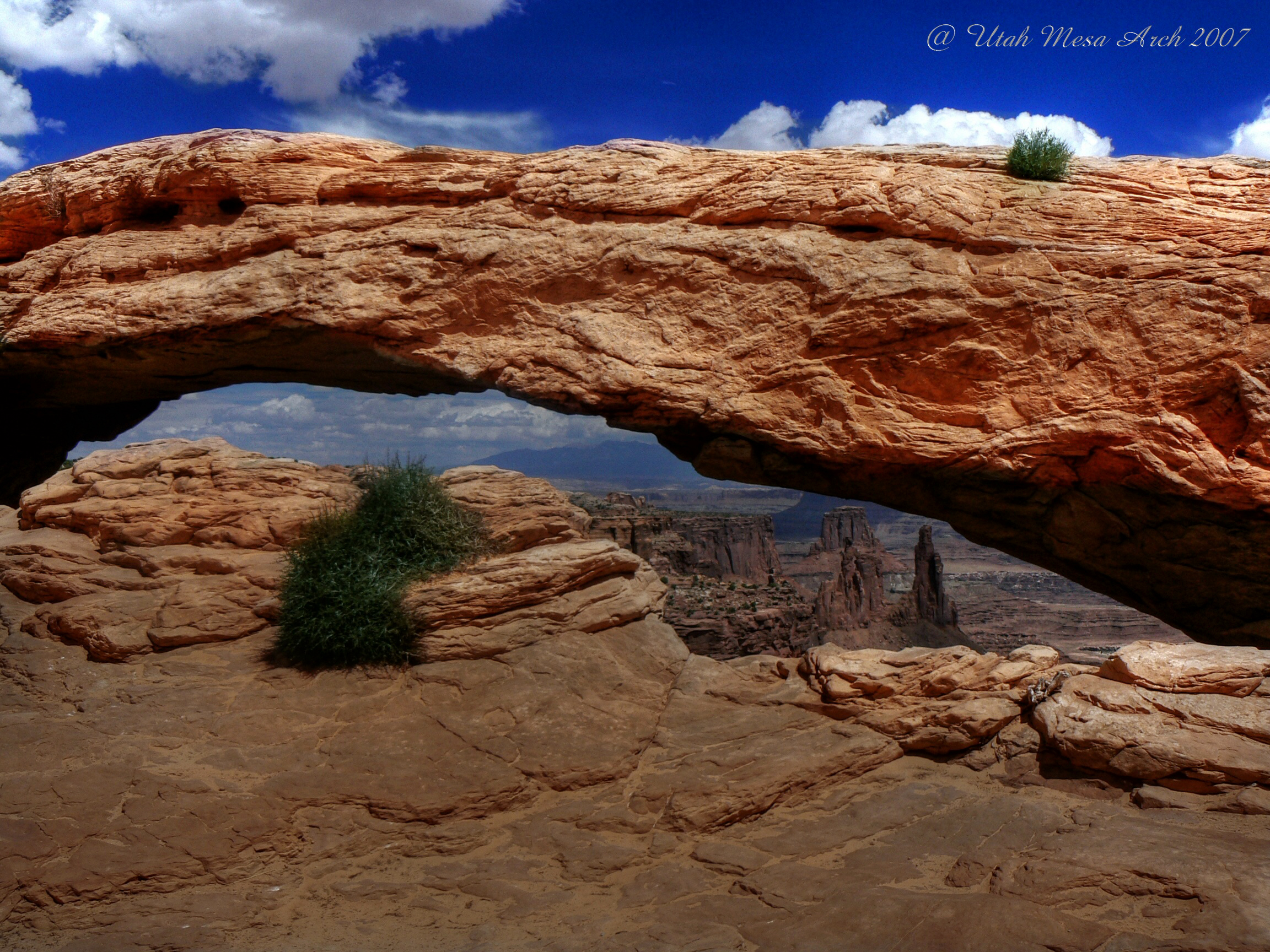 Mesa arch