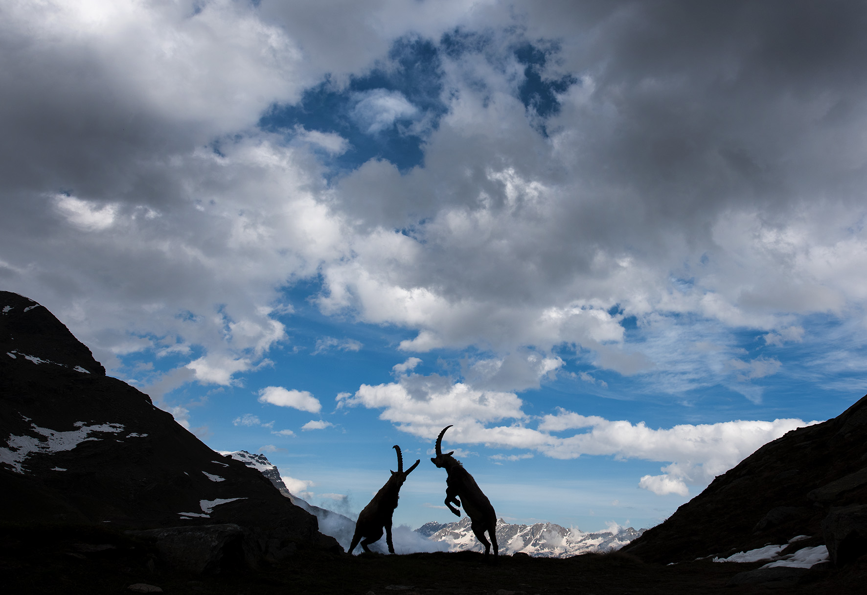 I signori delle cime