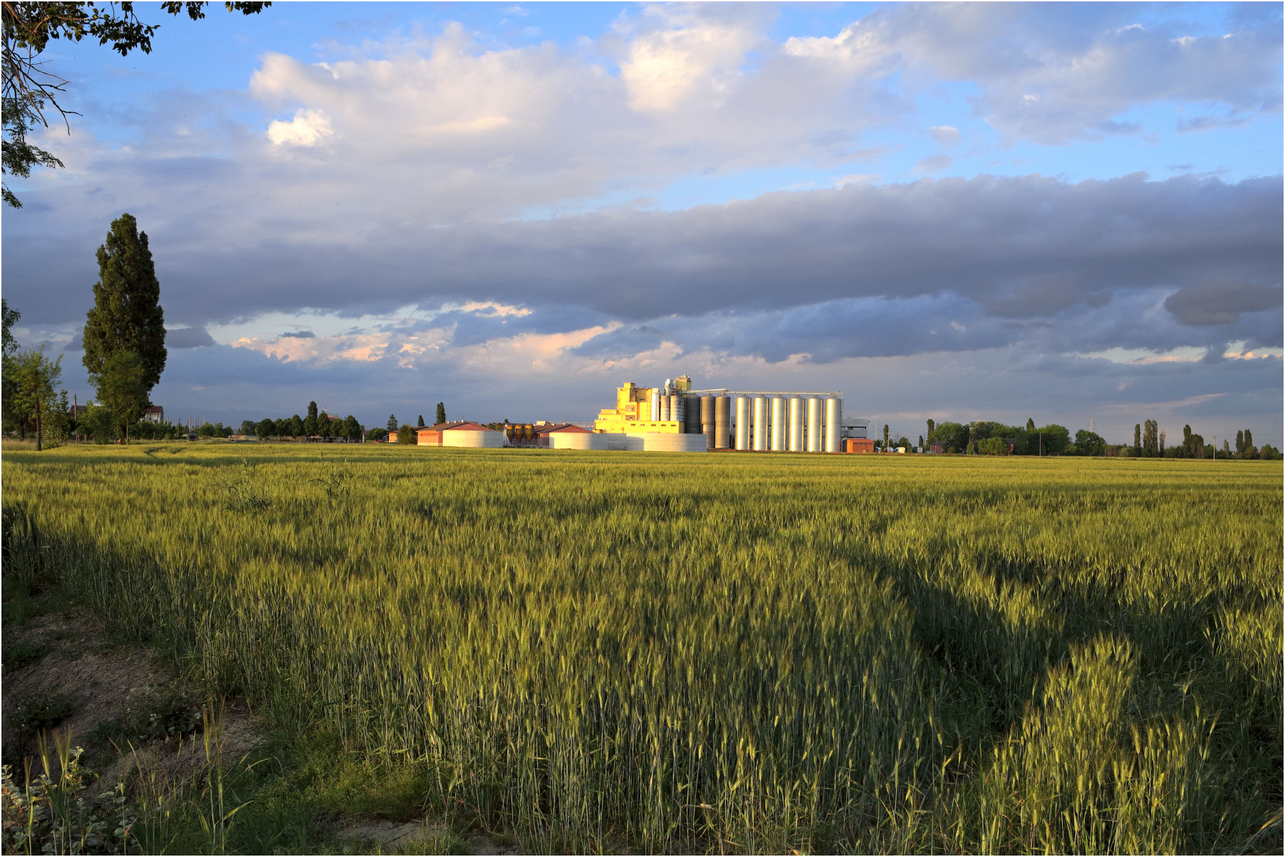 Milling industry in open country