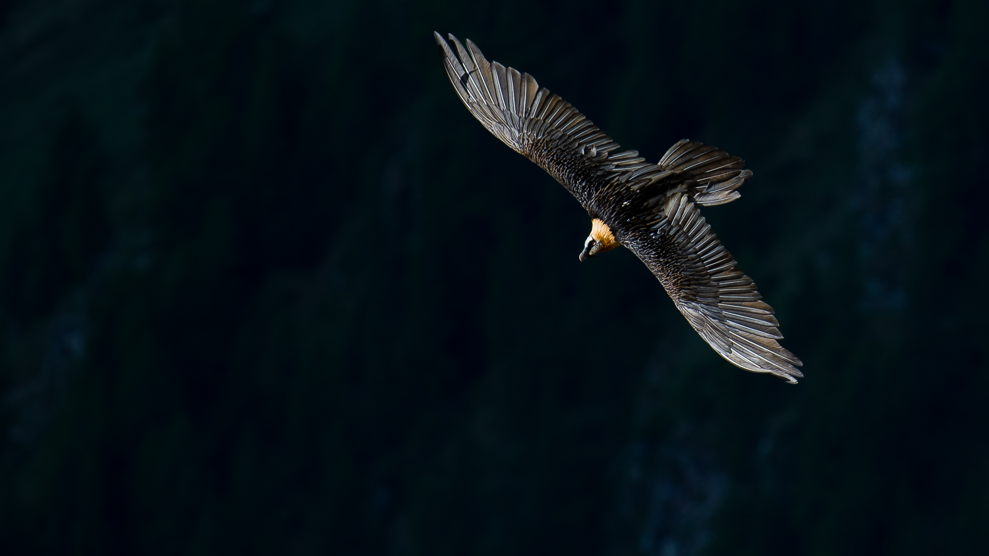 With the right light ...