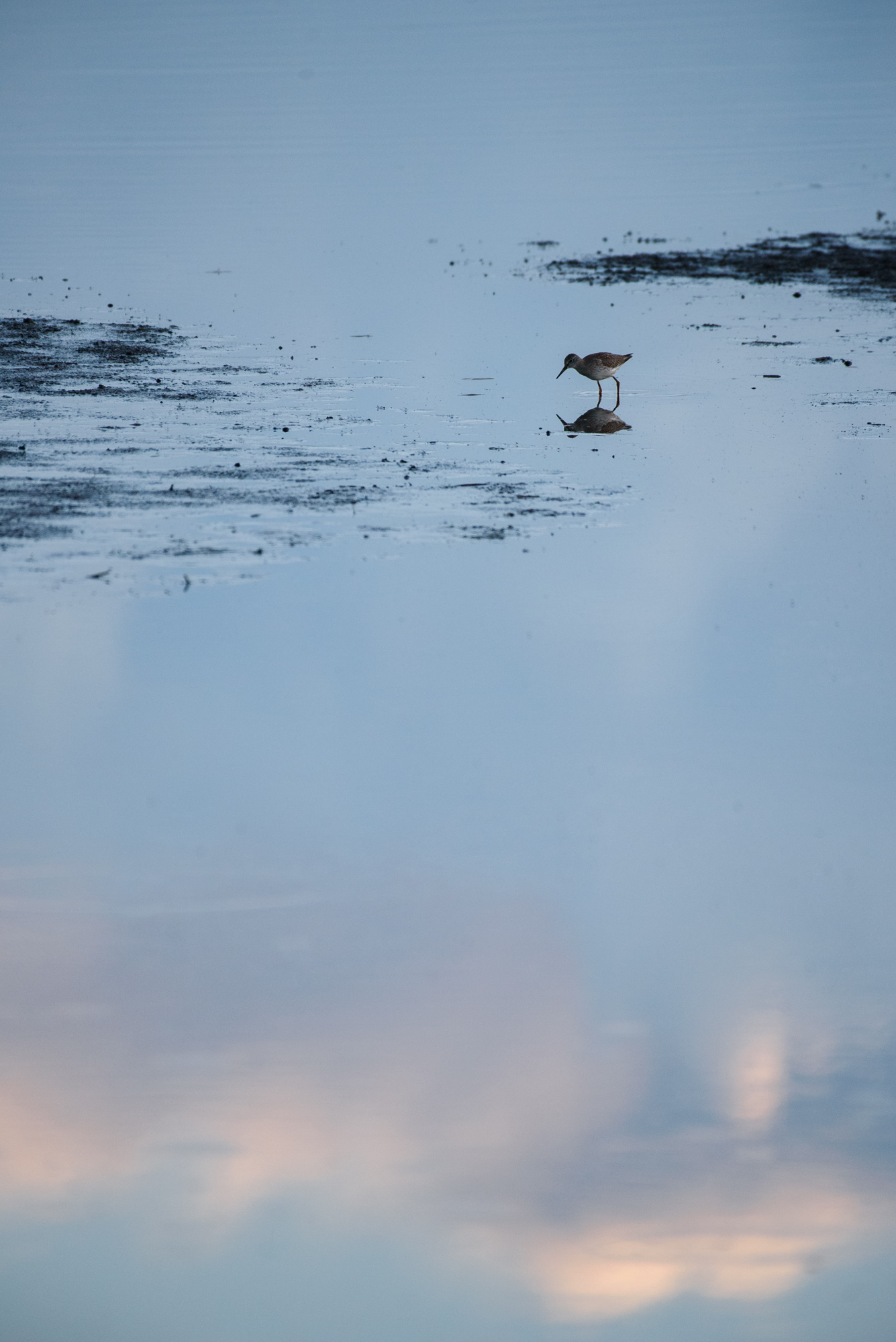 Gossiping on the clouds