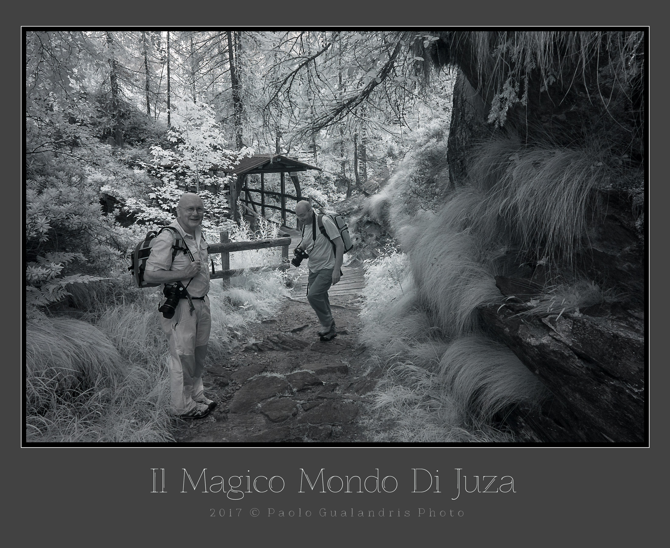 The Magic World Of Juza