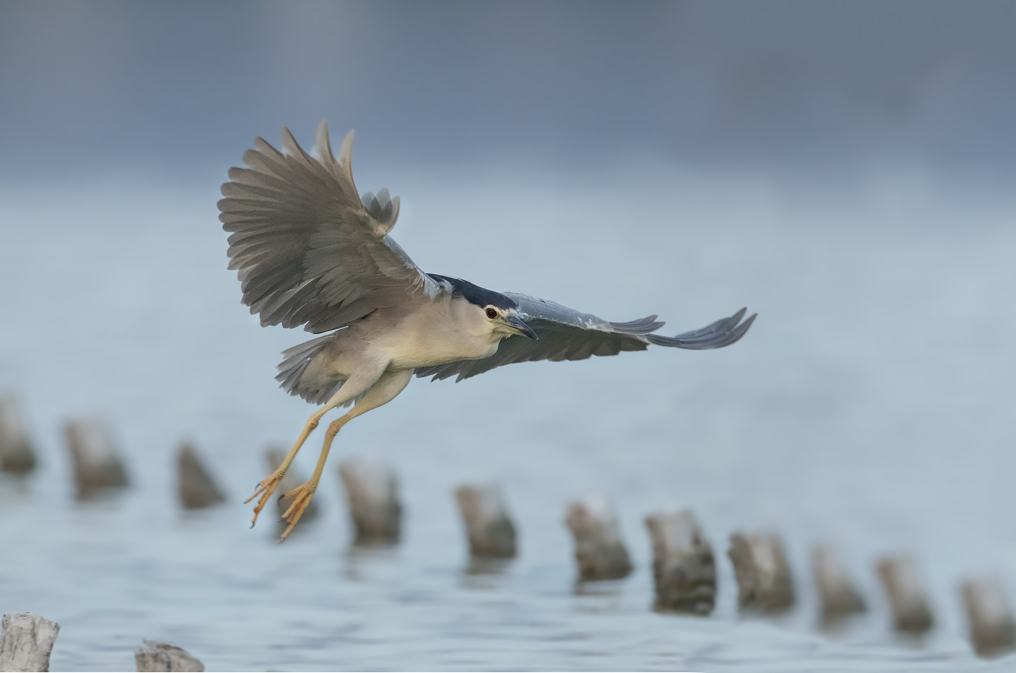 altro che ora blu....al buio 10000 iso