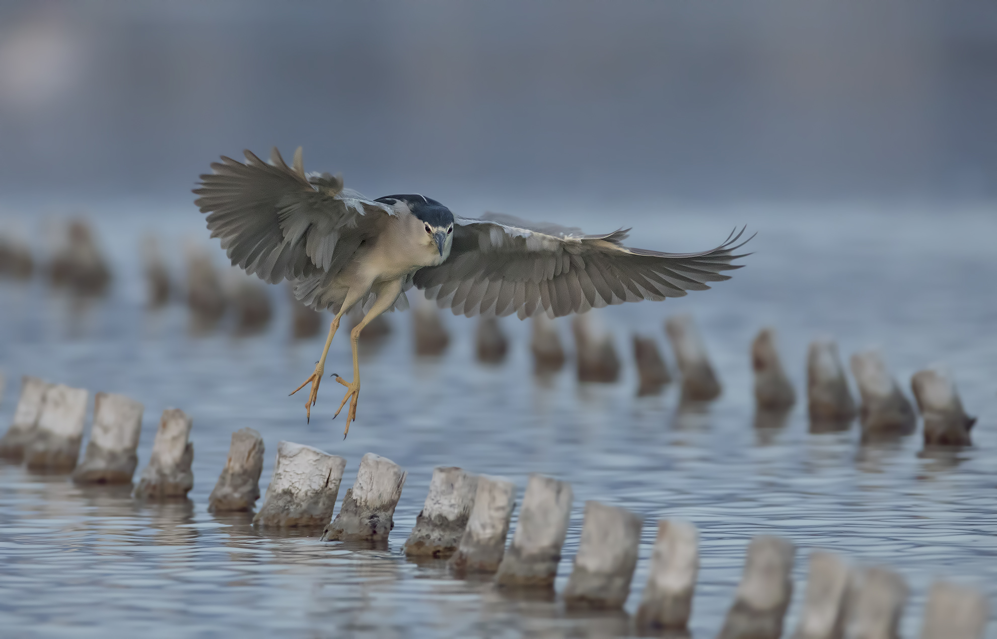 altro che ora blu....al buio